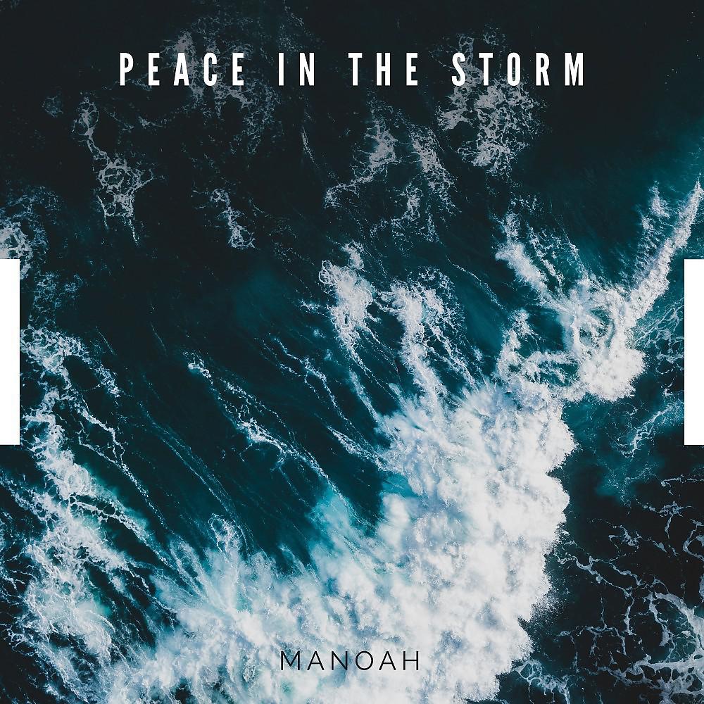 Постер альбома Peace in the Storm