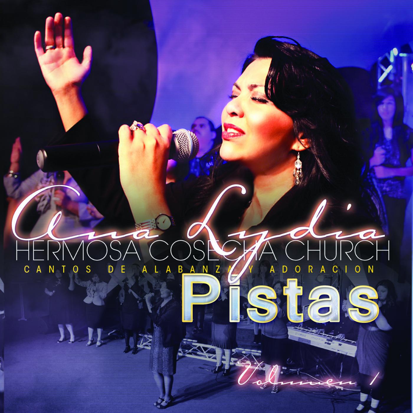 Постер альбома Hermosa Cosecha Church Cantos De Alabanza Y Adoracion Pistas, Vol. 1