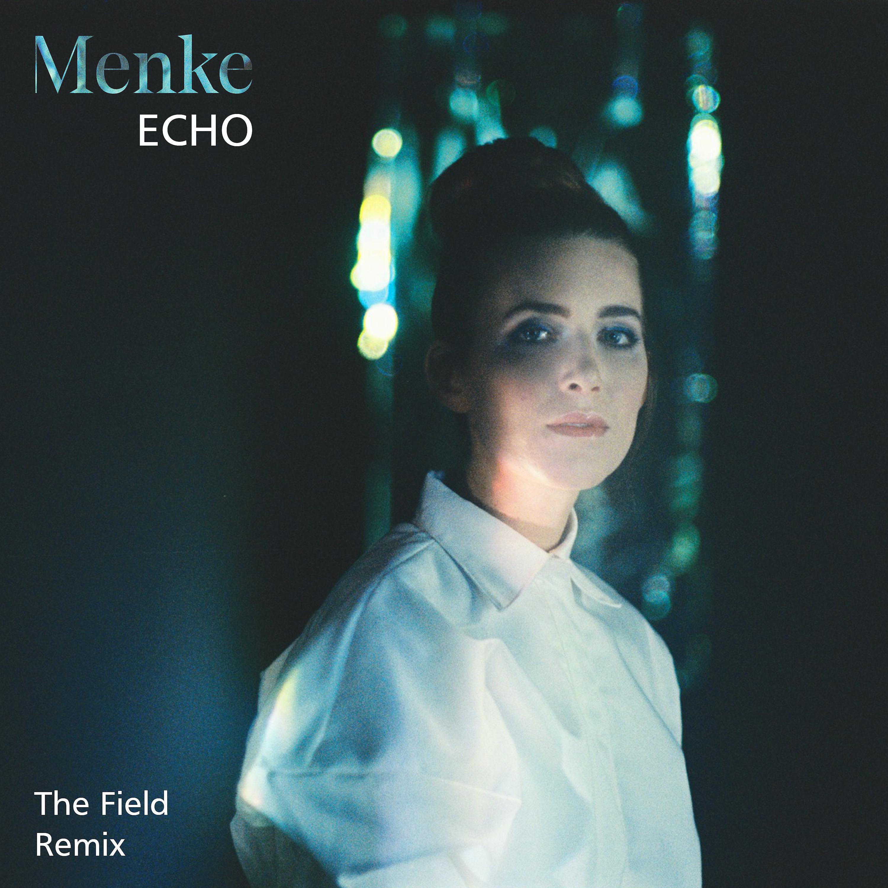 Постер альбома Echo (The Field Remix)