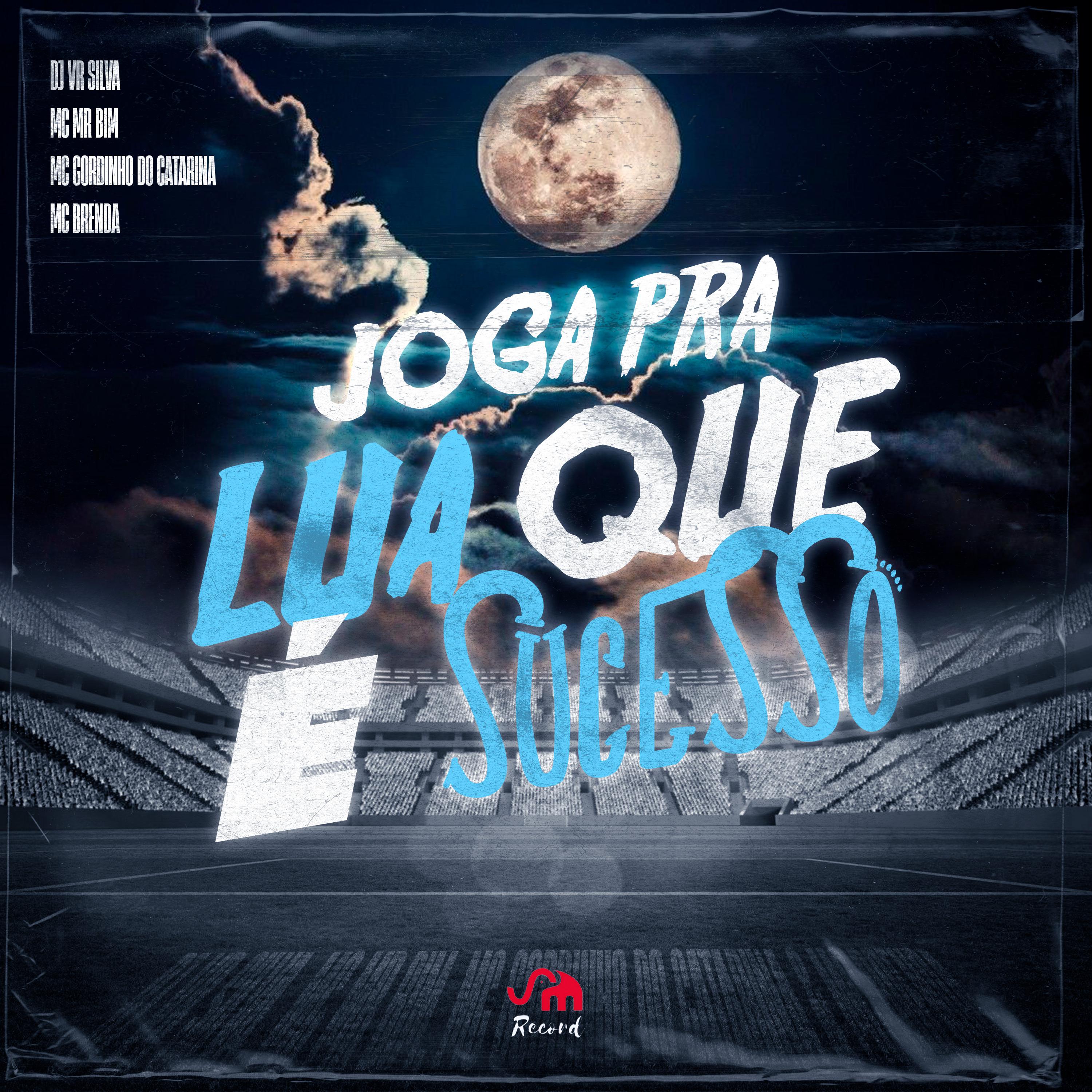 Постер альбома Joga pra Lua Que É Sucesso