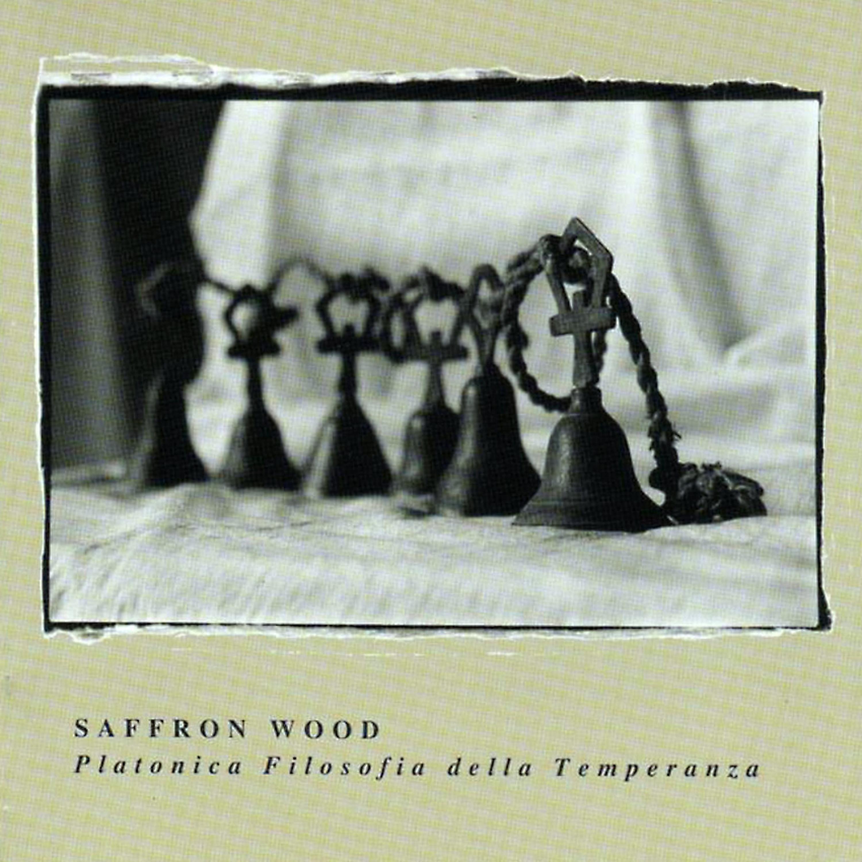 Постер альбома Platonica Filosofia Della Temperanza