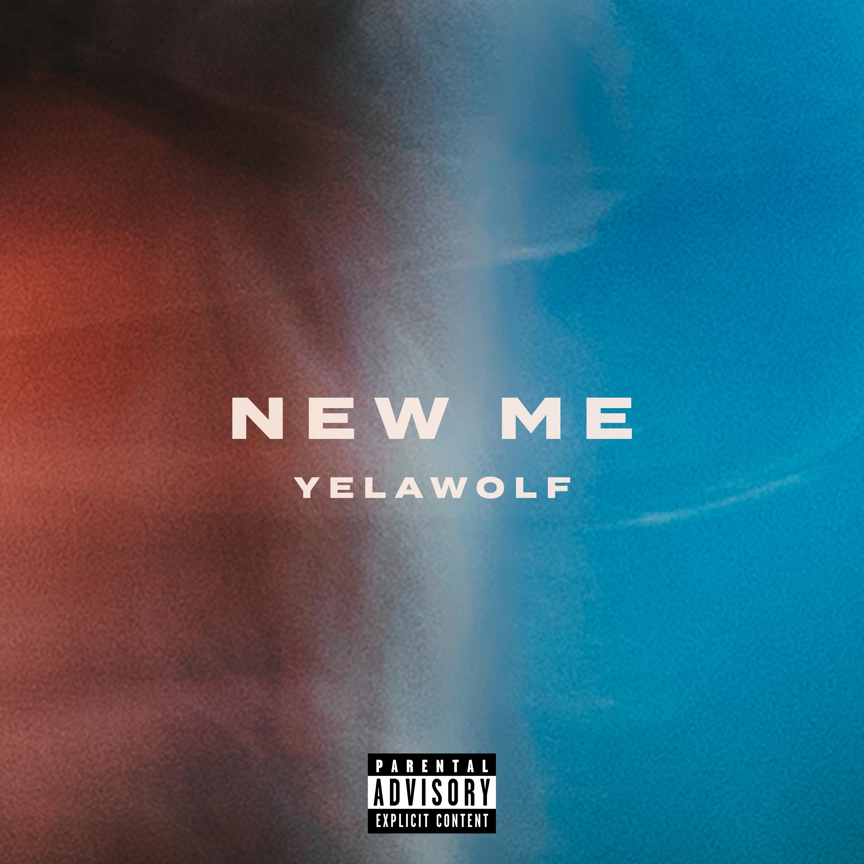 Постер альбома New Me