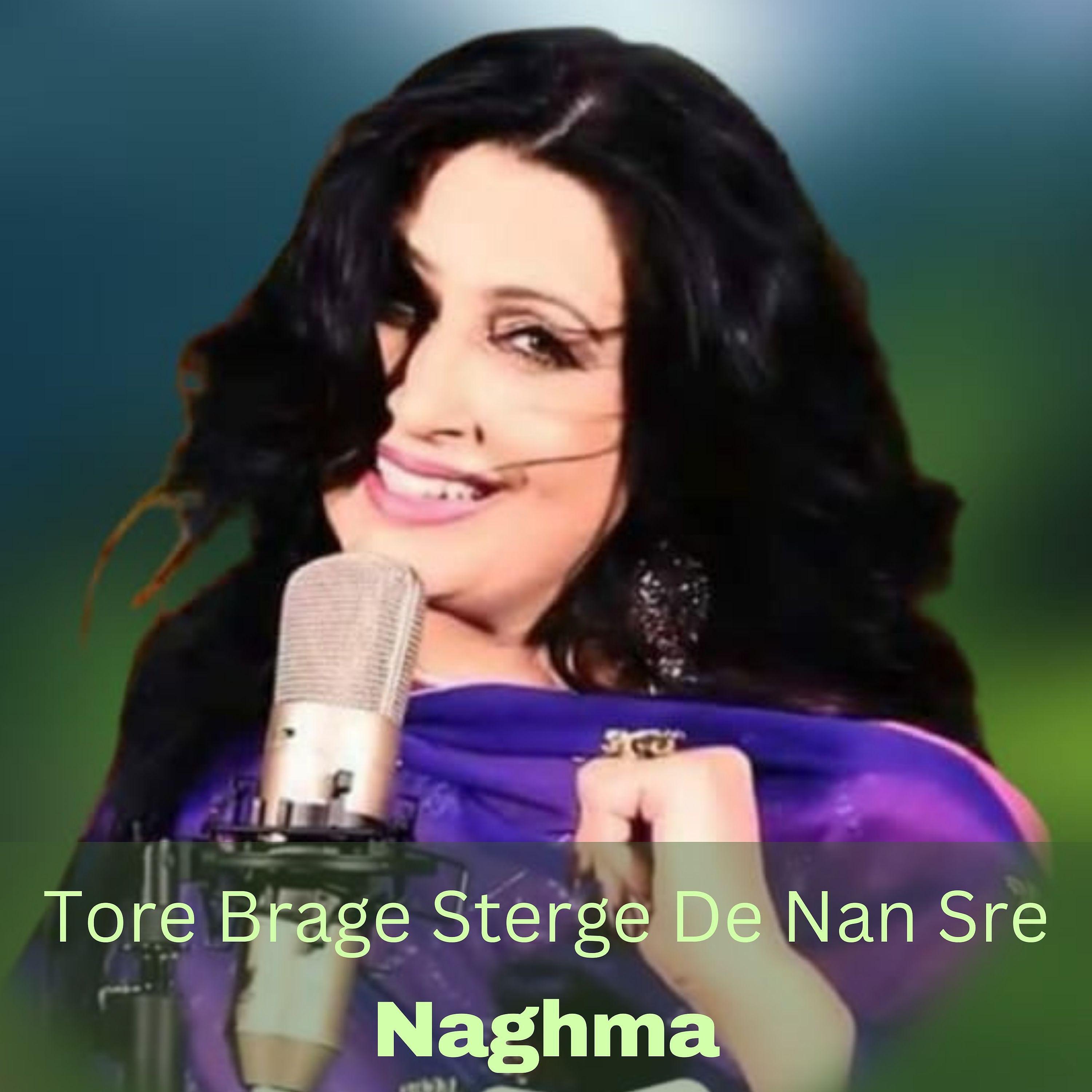Постер альбома Tore Brage Sterge De Nan Sre
