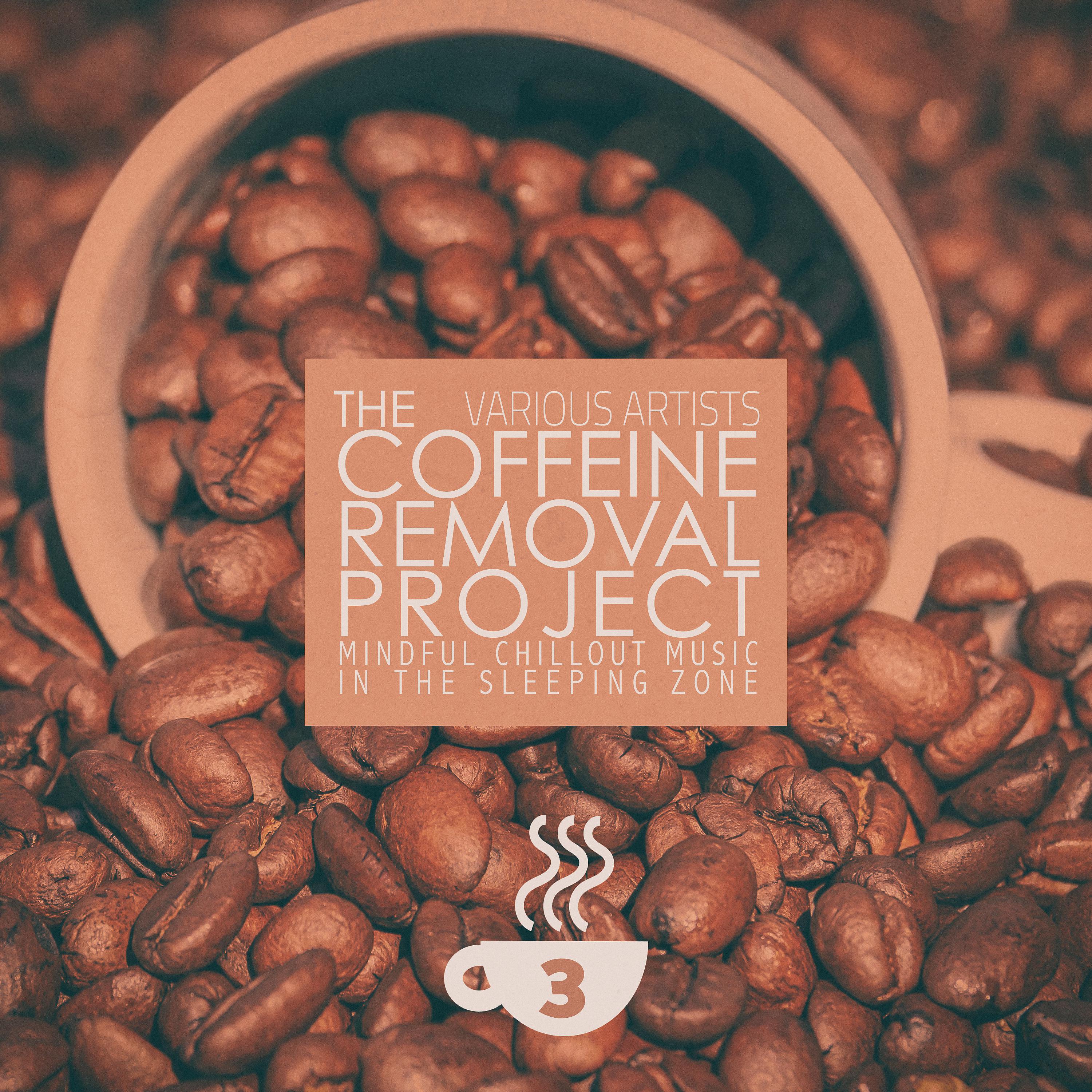 Постер альбома The Coffeine Removal Project - 3