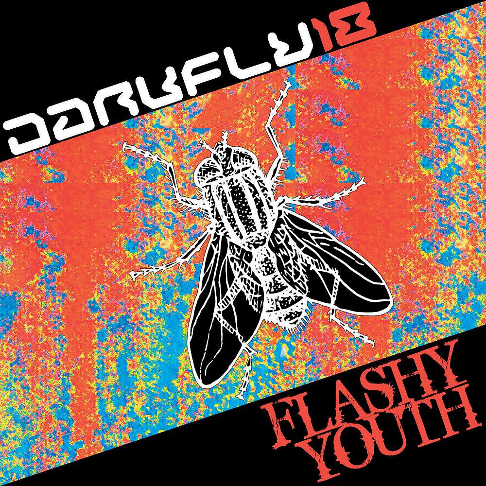 Постер альбома Flashy Youth