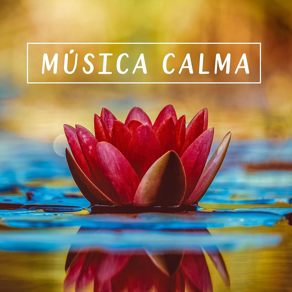 Постер альбома Música Calma