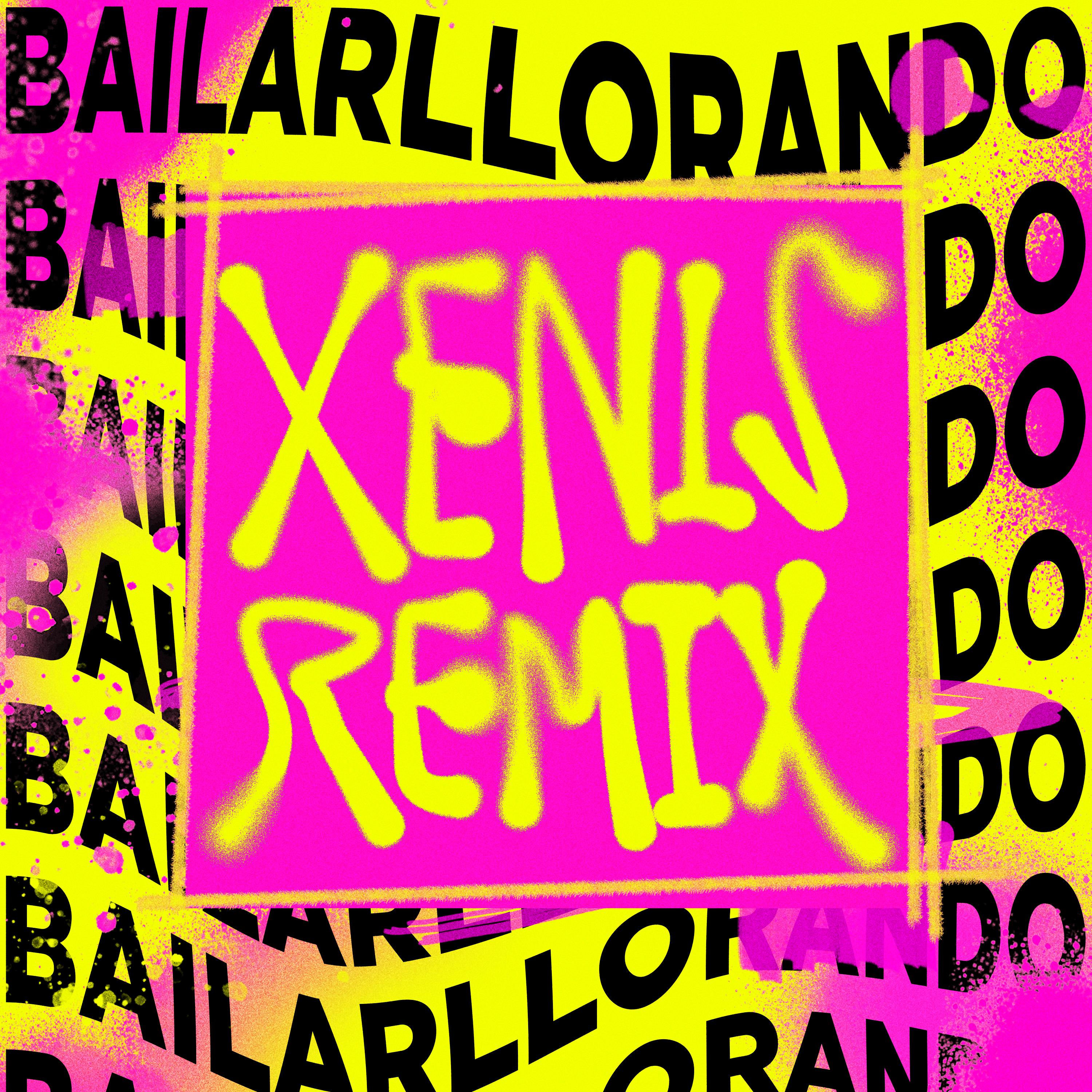 Постер альбома Bailar Llorando