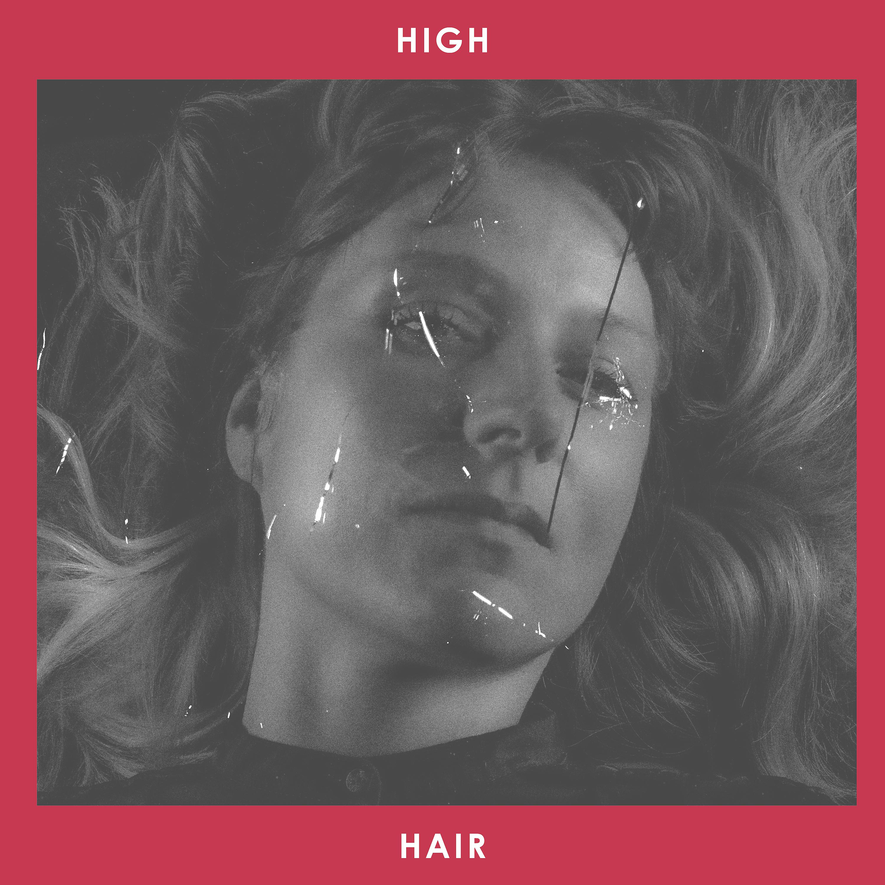 Постер альбома High Hair