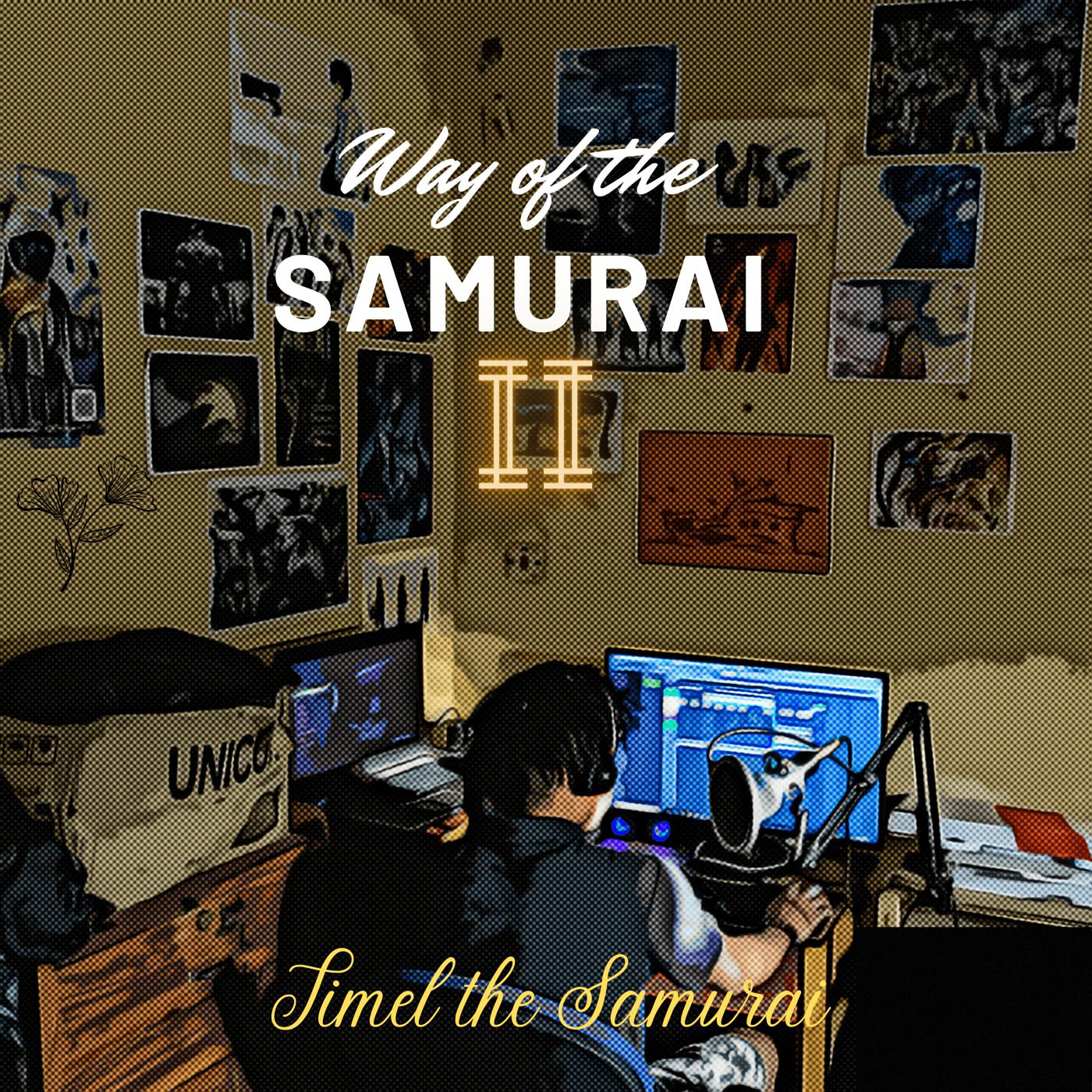 Постер альбома Way of the Samurai II