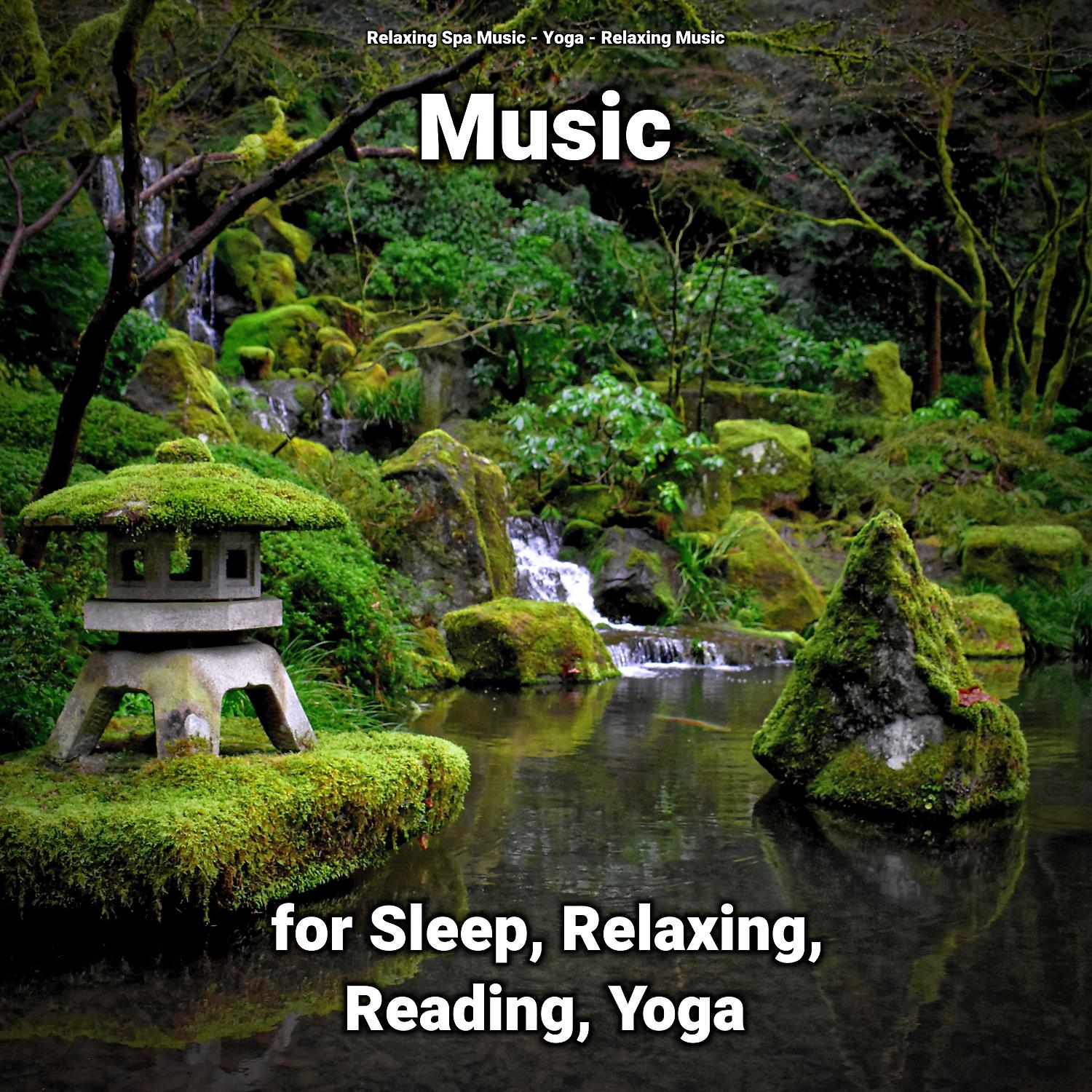 Постер альбома Music for Sleep, Relaxing, Reading, Yoga
