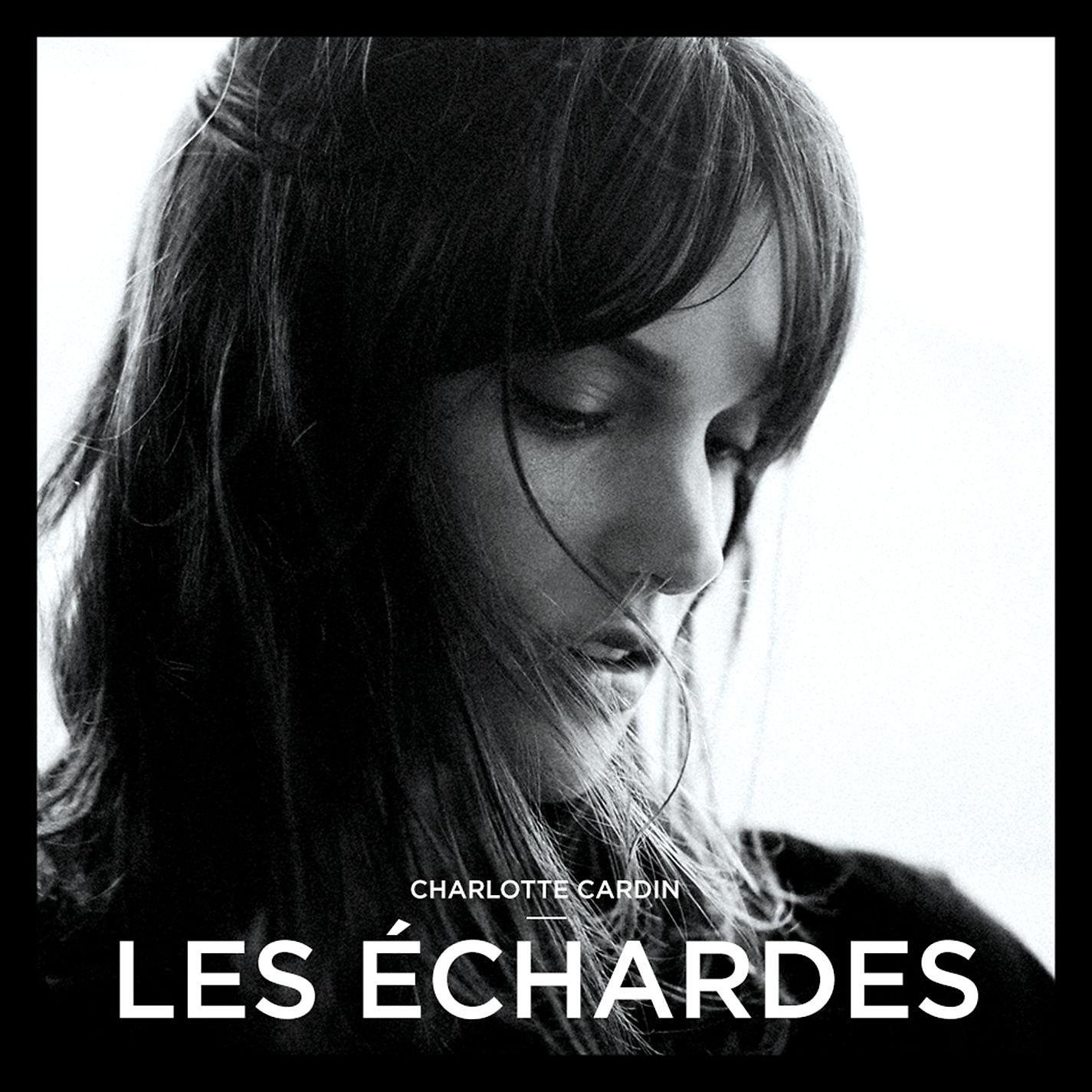 Постер альбома Les échardes