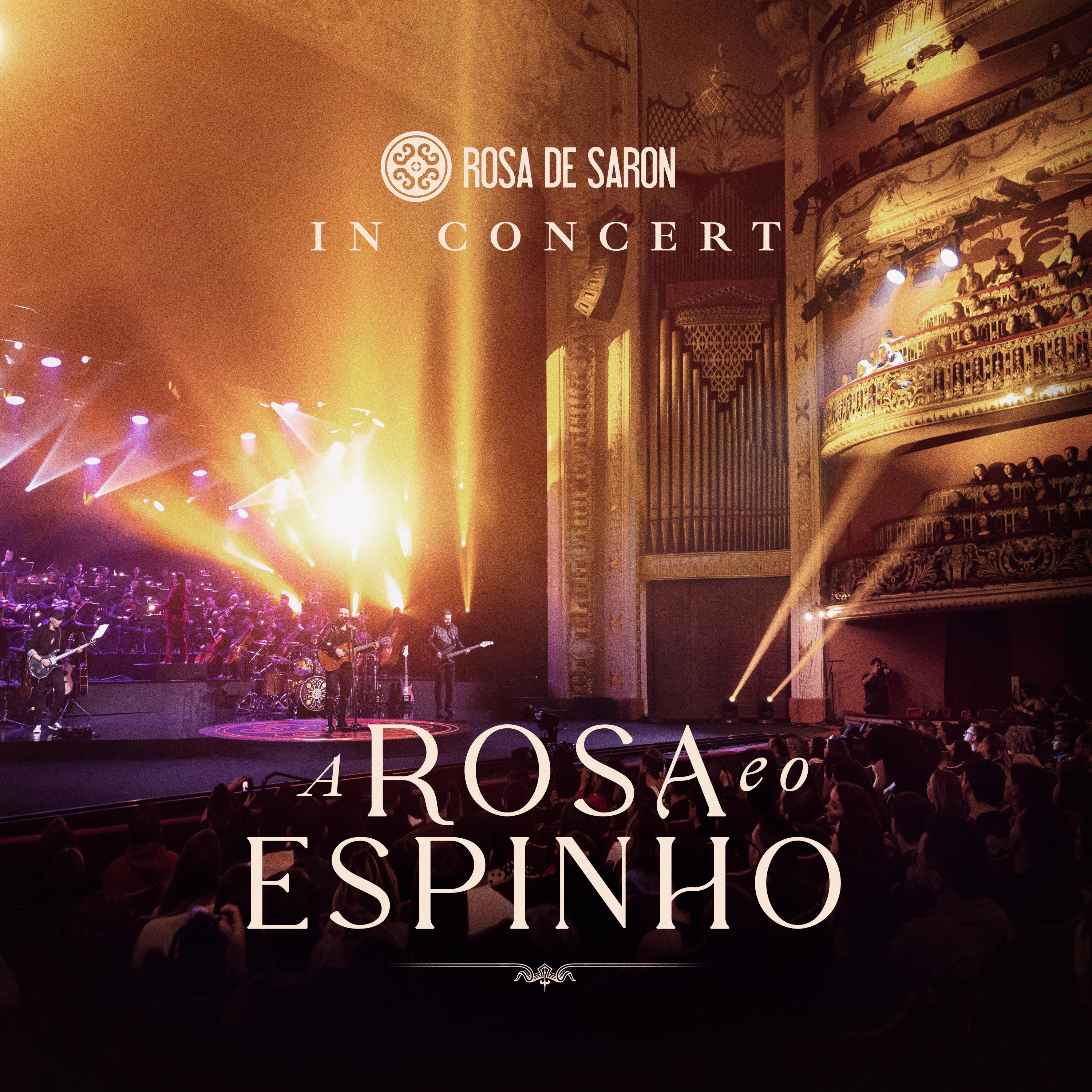 Постер альбома A Rosa e o Espinho: In Concert