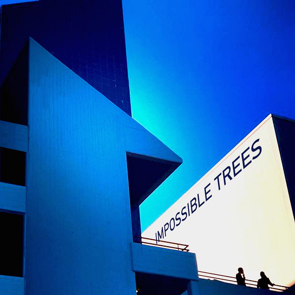 Постер альбома Impossible Trees (Remixes)