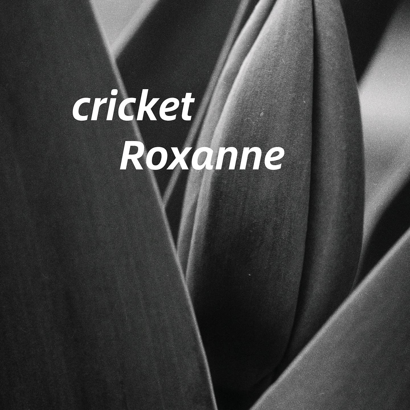 Постер альбома cricket
