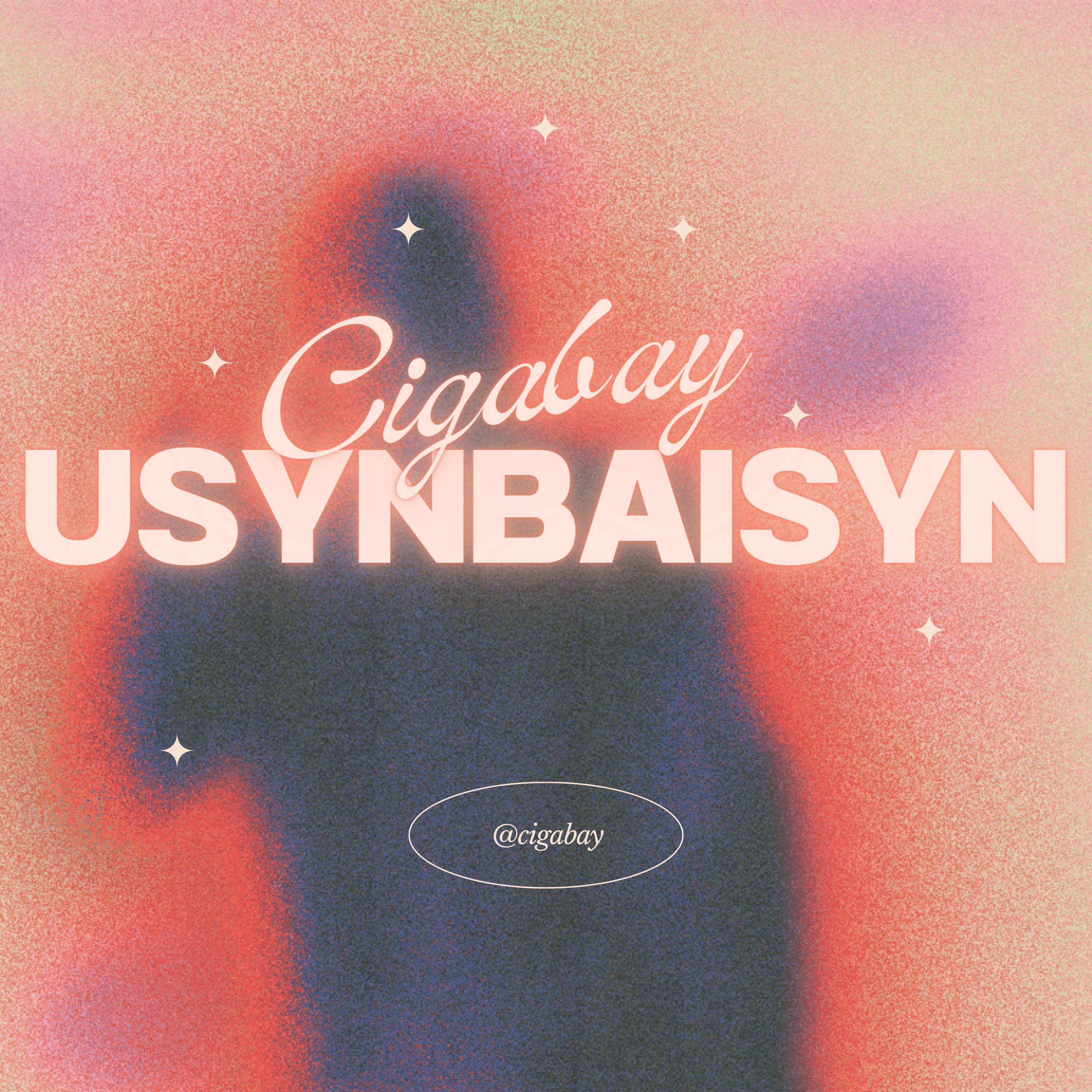 Постер альбома Usynbaisyn