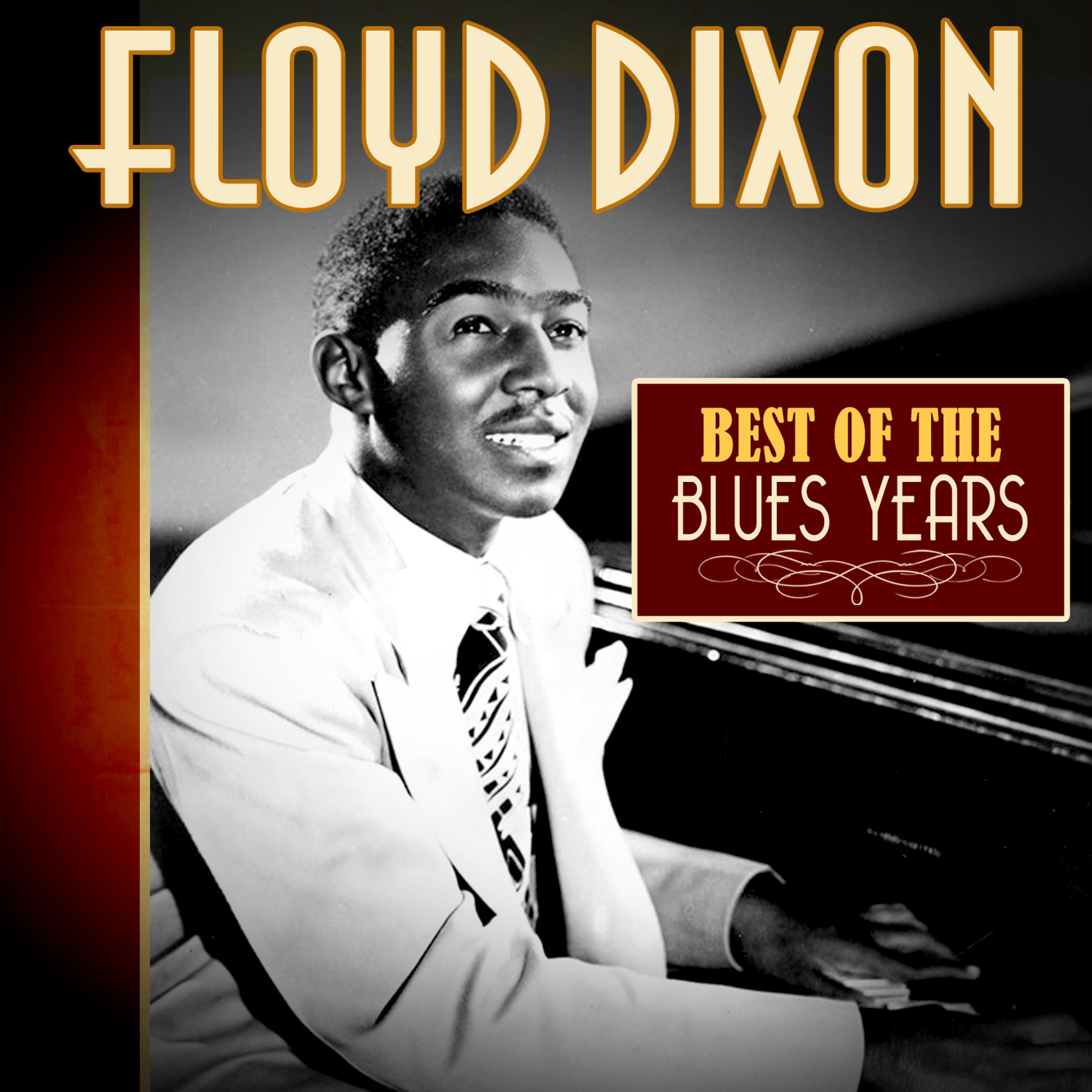 Постер альбома Best of the Blues Years