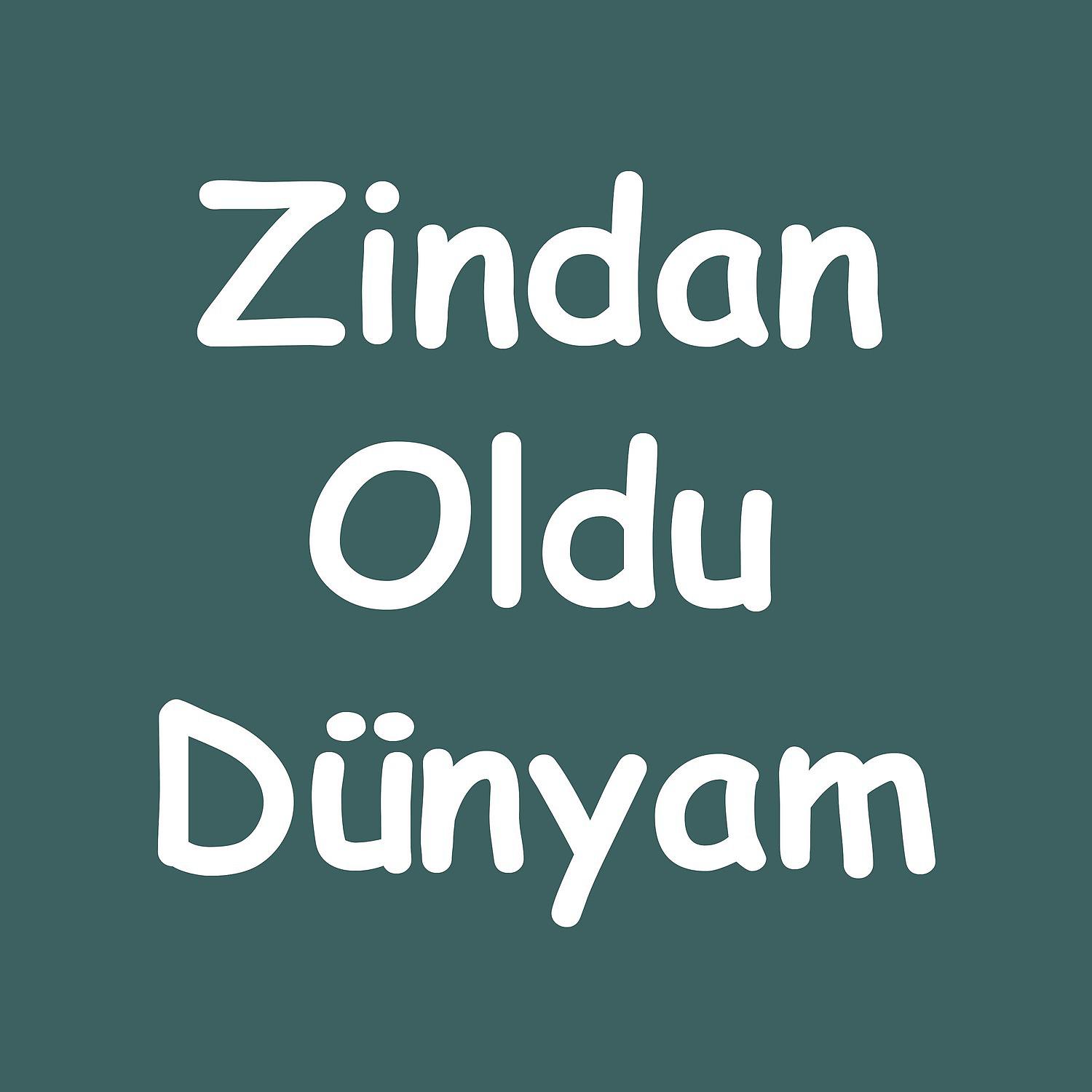 Постер альбома Zindan Oldu Dünyam