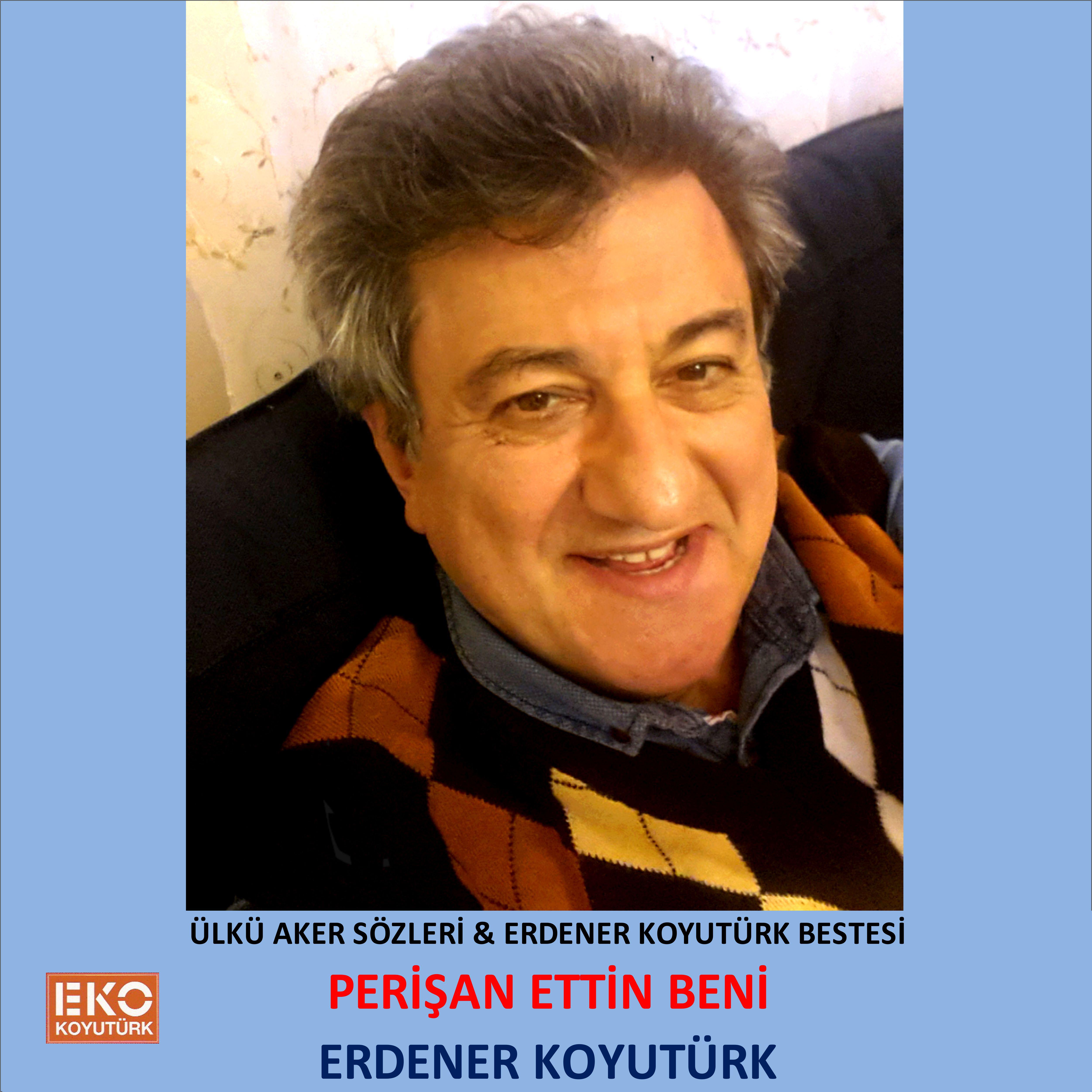 Постер альбома Perişan Ettin Beni