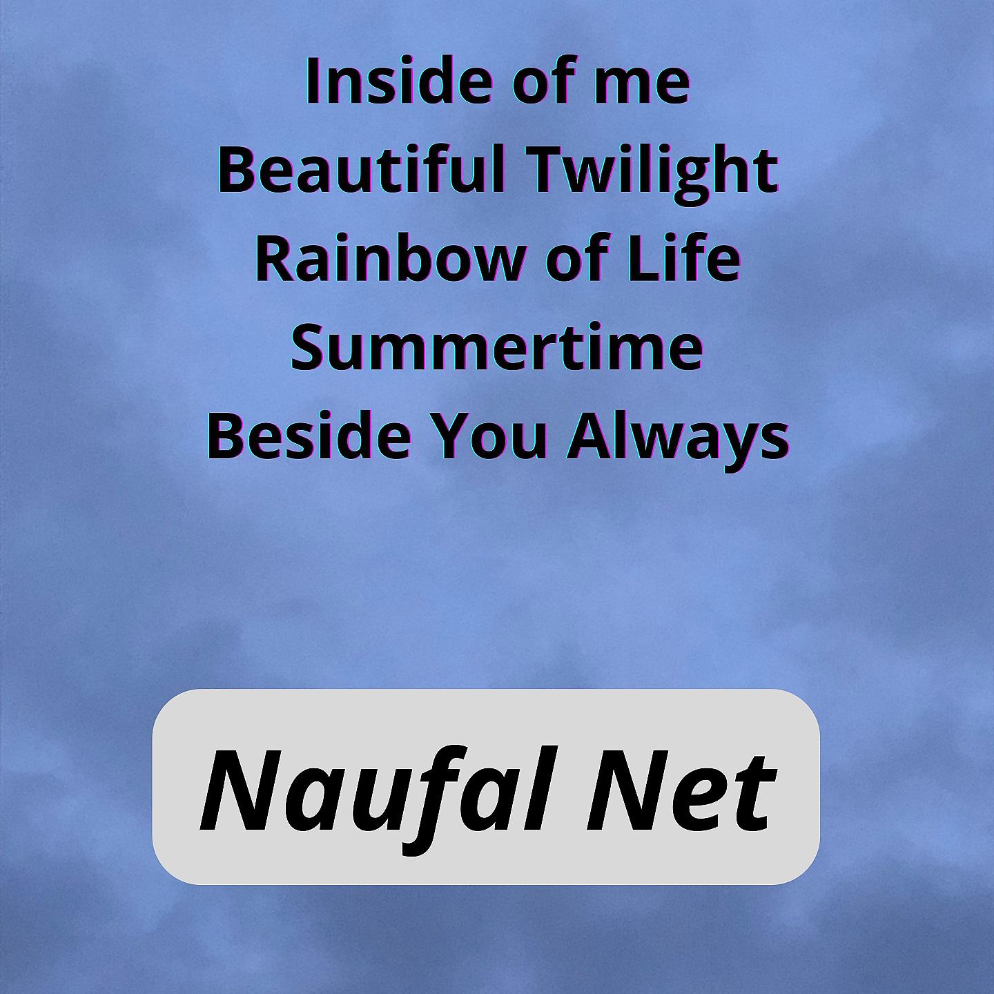 Постер альбома The Naufal Sigh