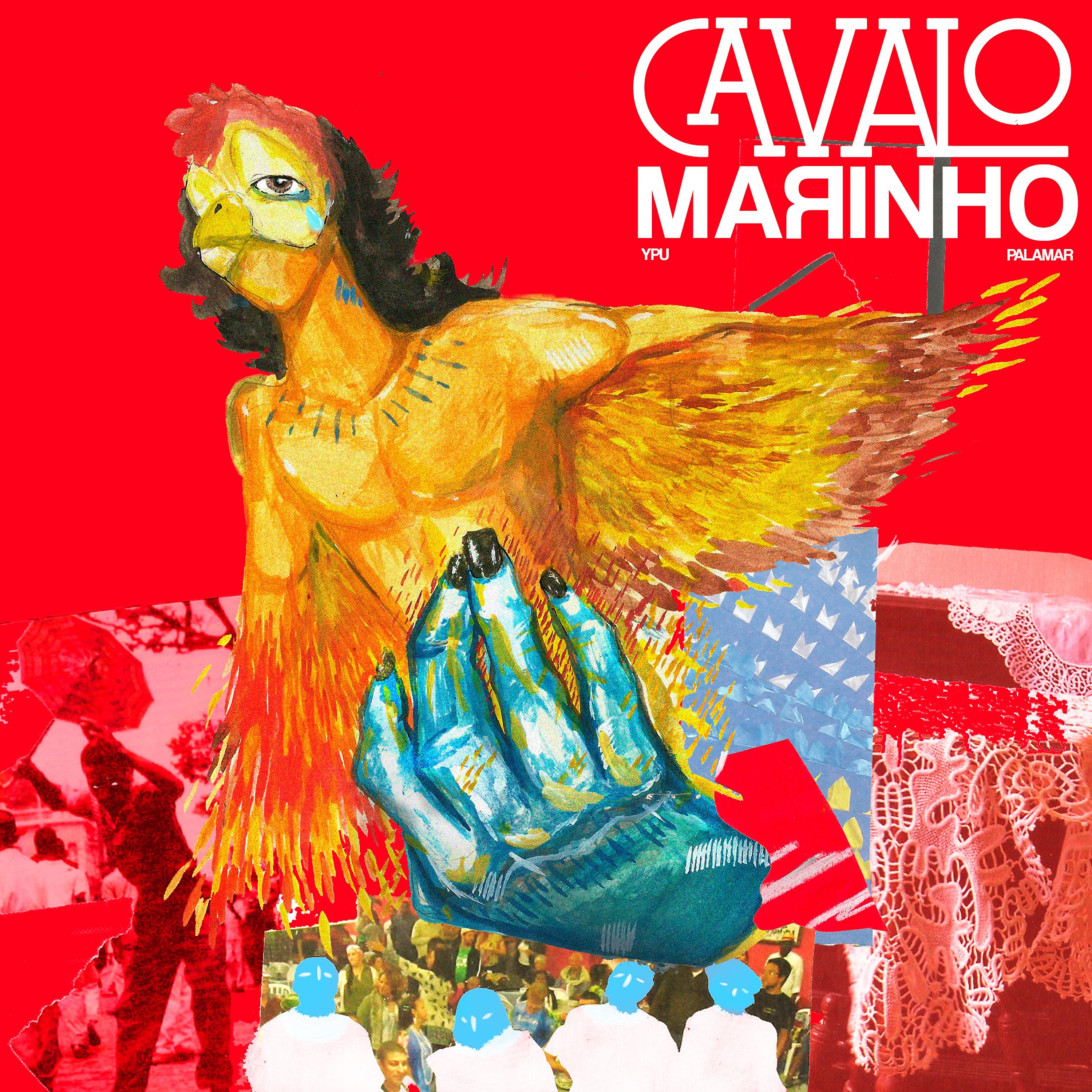 Постер альбома Cavalo Marinho