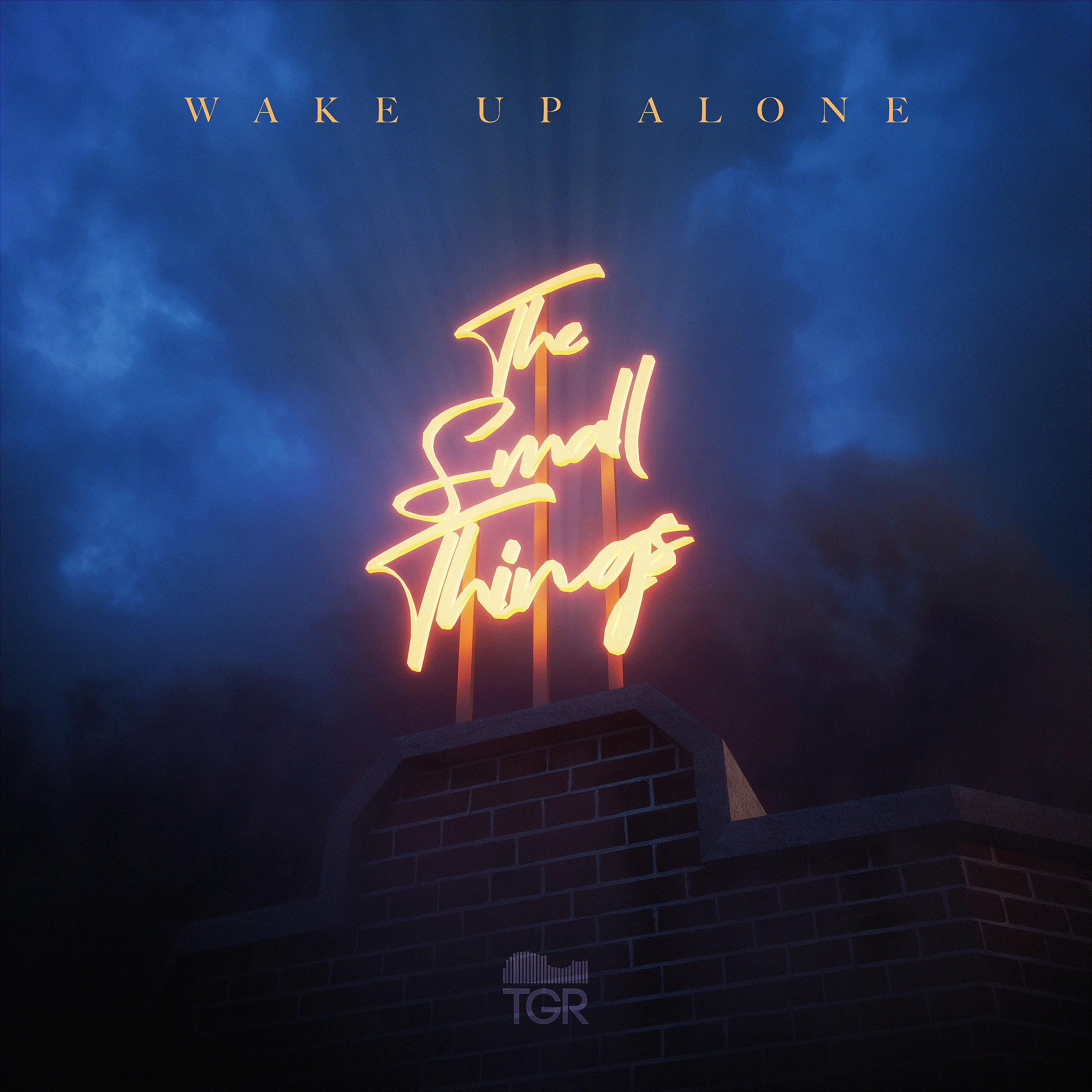 Постер альбома Wake up Alone
