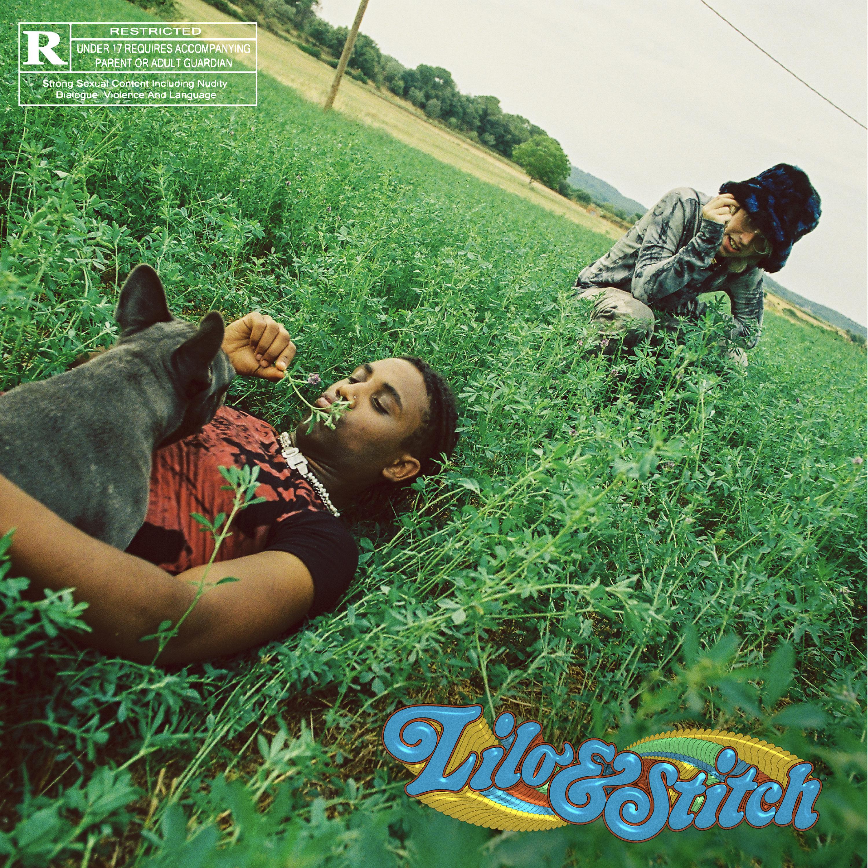 Постер альбома Lilo & Stitch