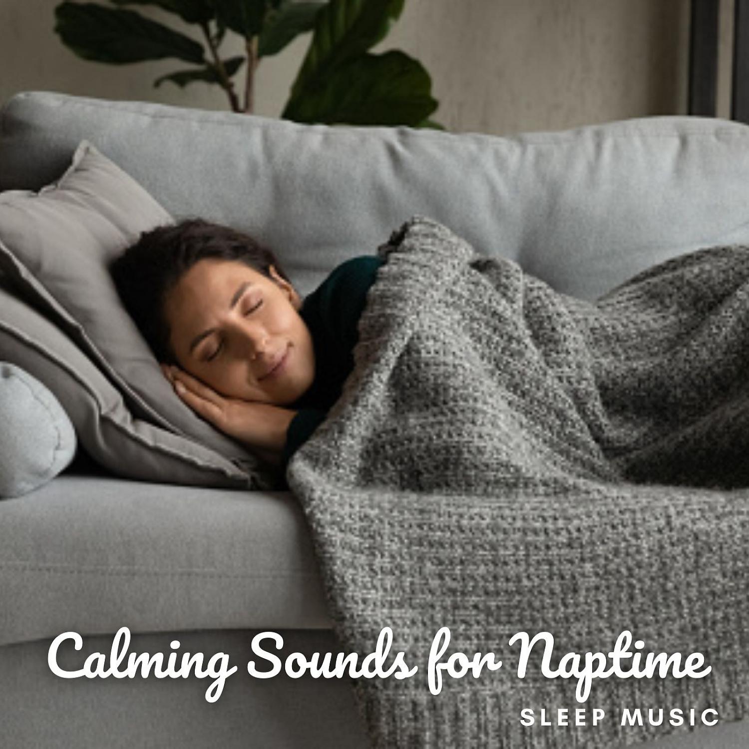 Постер альбома Sleep Music: Calming Sounds for Naptime
