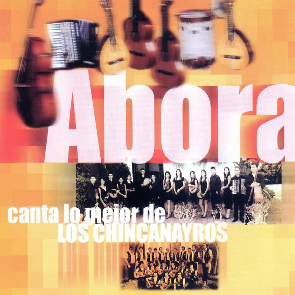 Постер альбома Abora Canta lo Mejor de Chincanairos