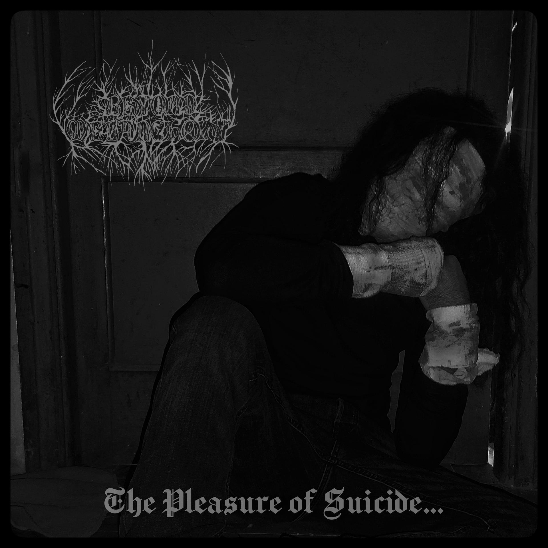 Постер альбома The Pleasure Of Suicide...