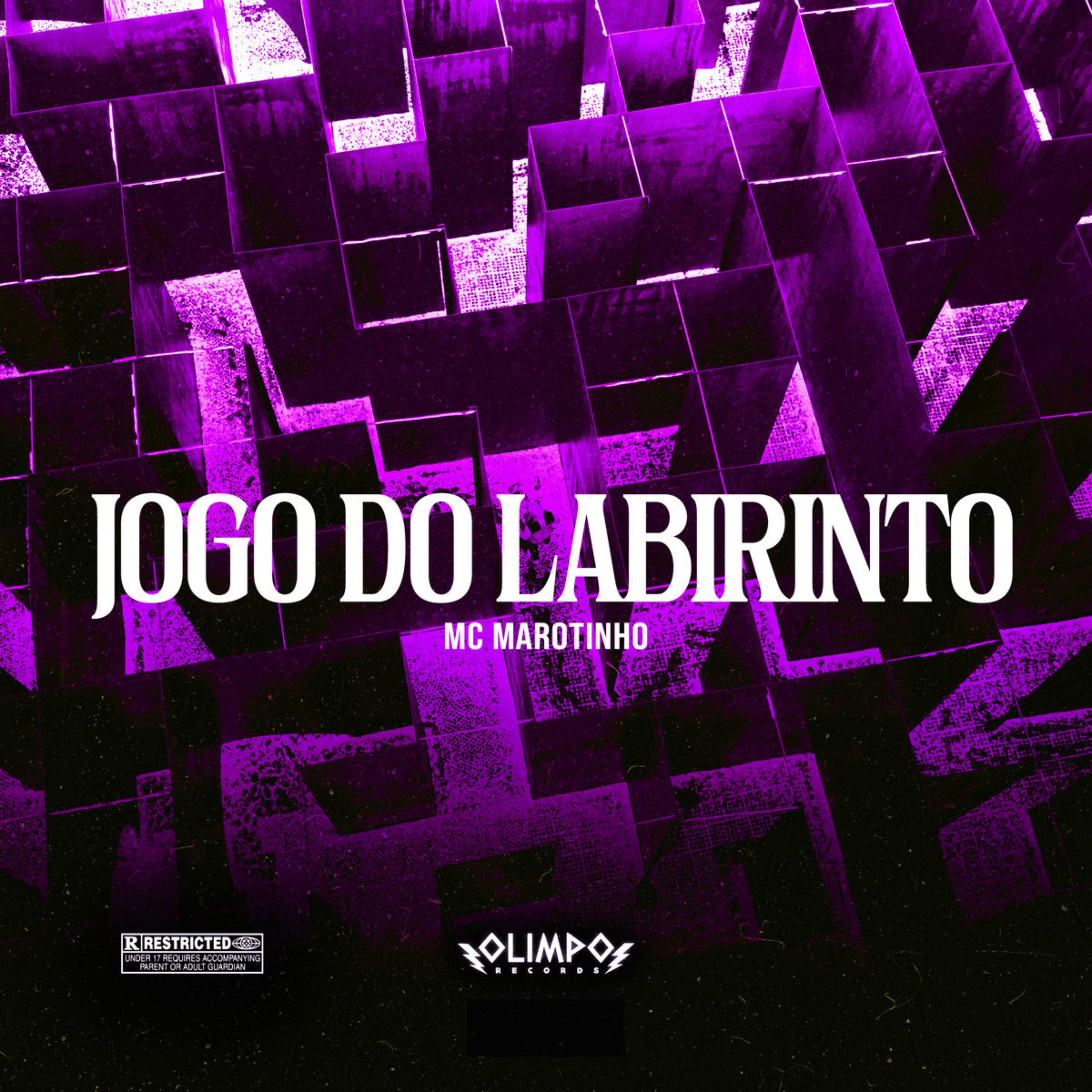 Постер альбома Jogo do Labirinto