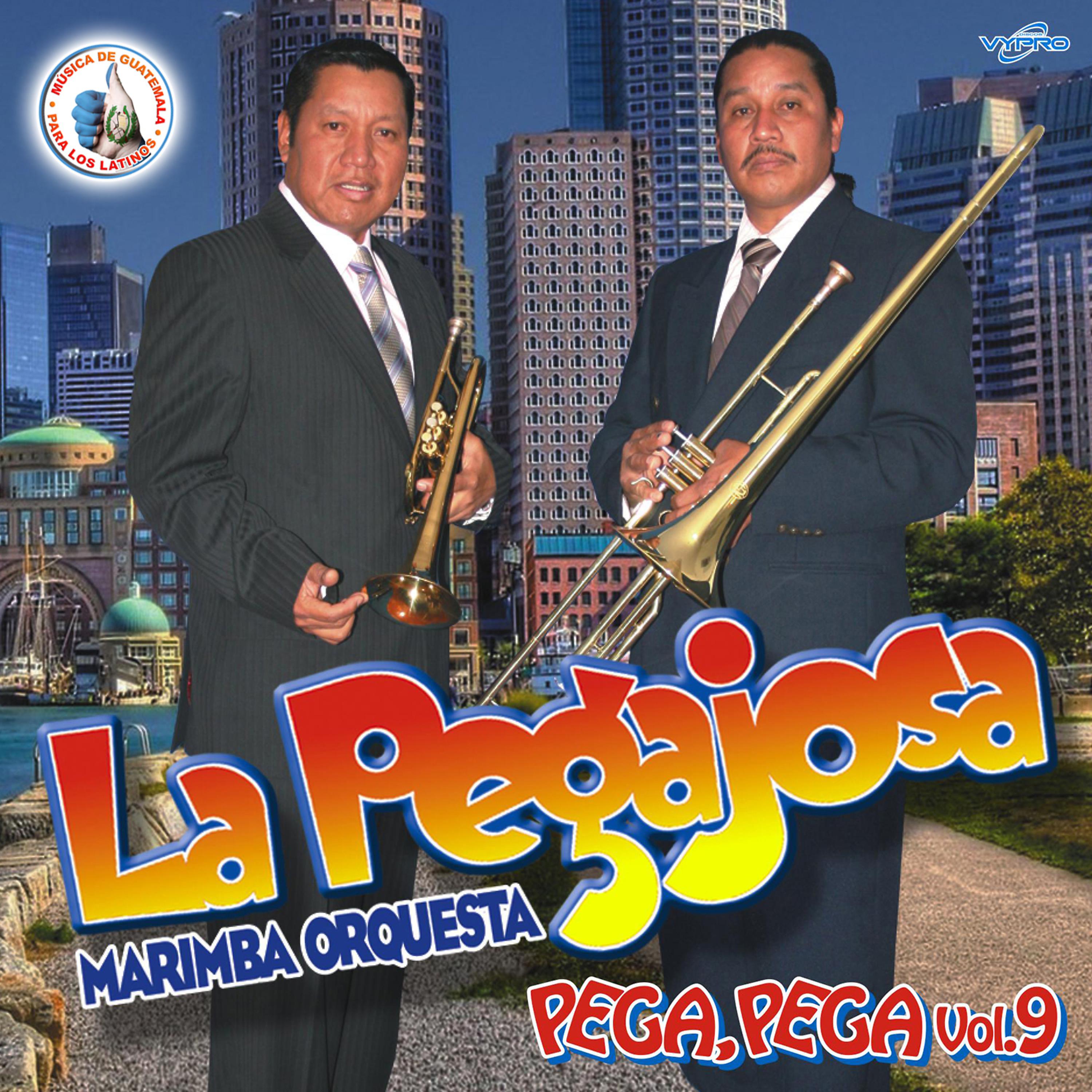 Постер альбома Pega, Pega Vol. 9. Música de Guatemala para los Latinos