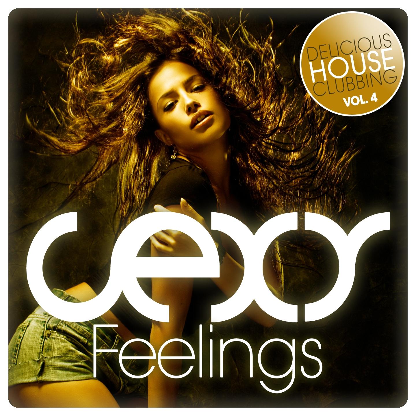 Постер альбома Sexy Feelings - Delicious House Clubbing, Vol. 4