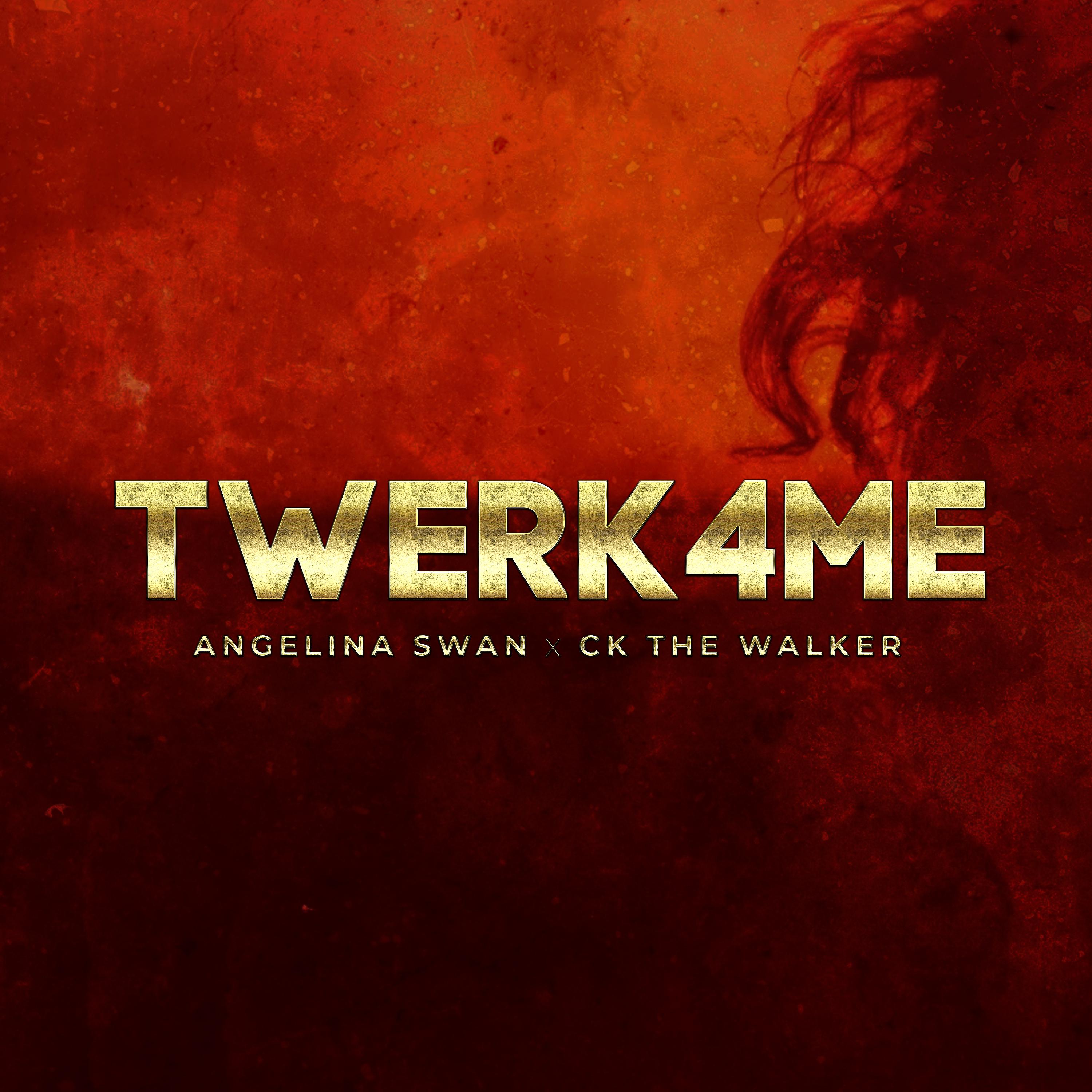 Постер альбома Twerk4me