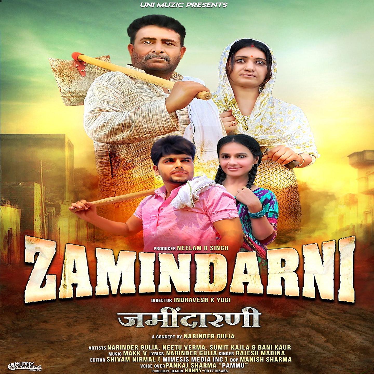 Постер альбома Zamindarni