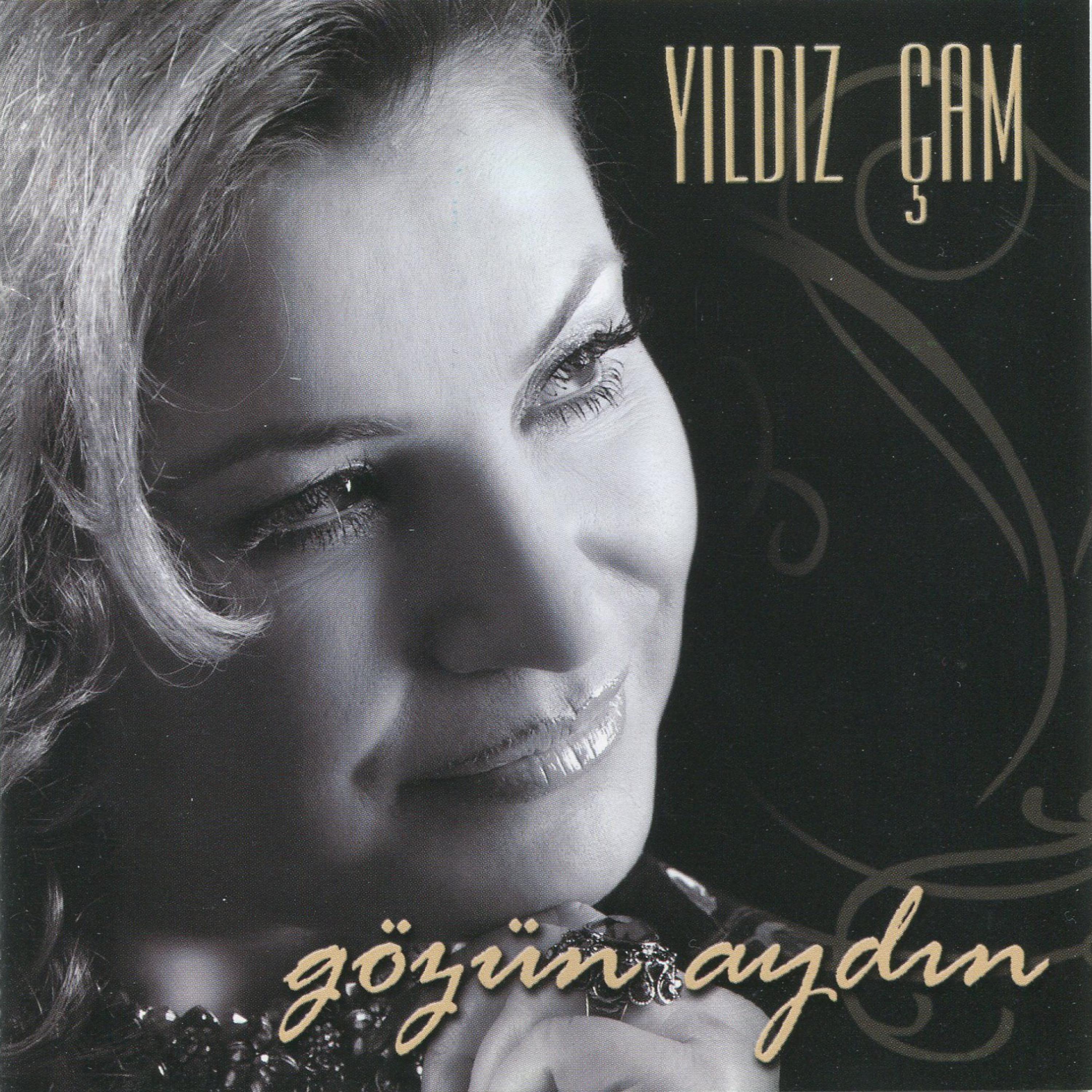 Постер альбома Gözün Aydın