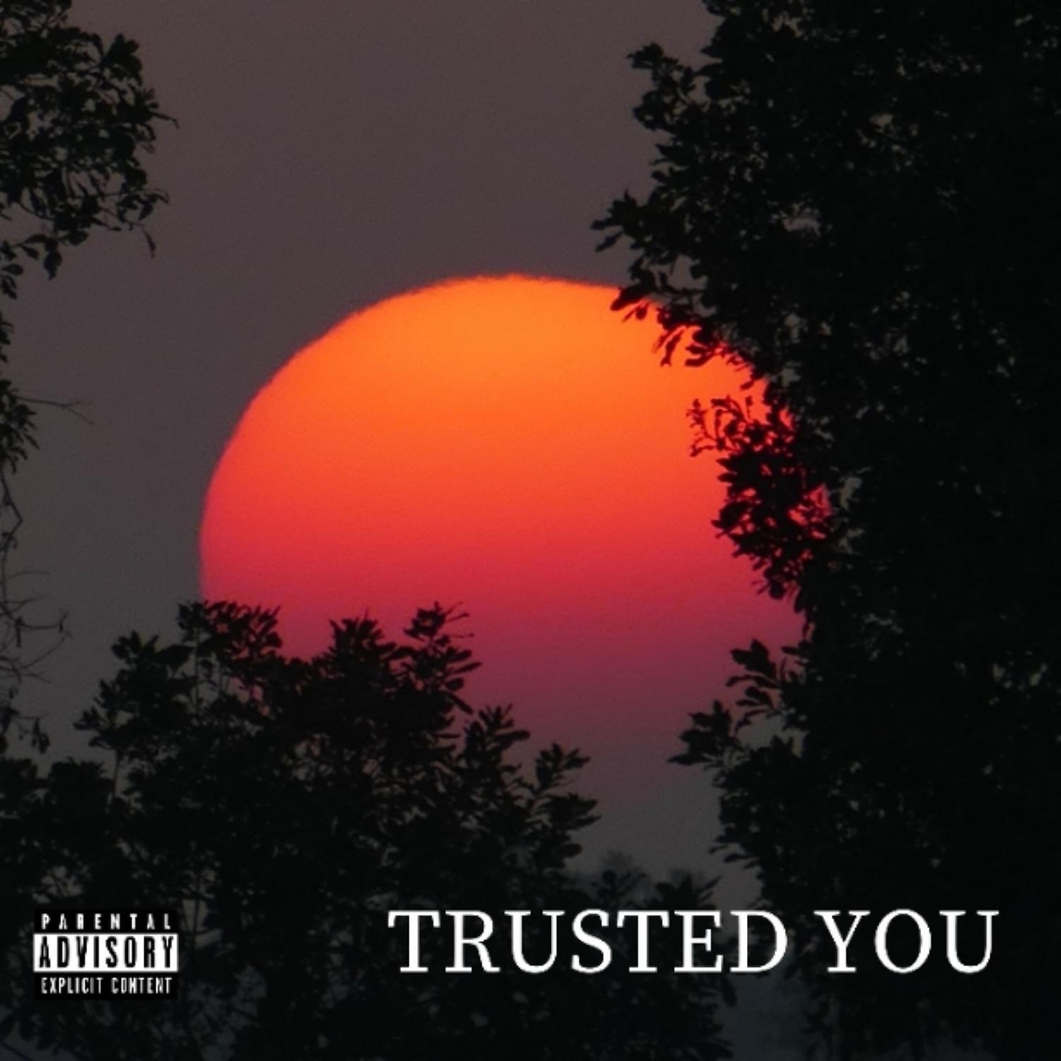 Постер альбома Trusted You