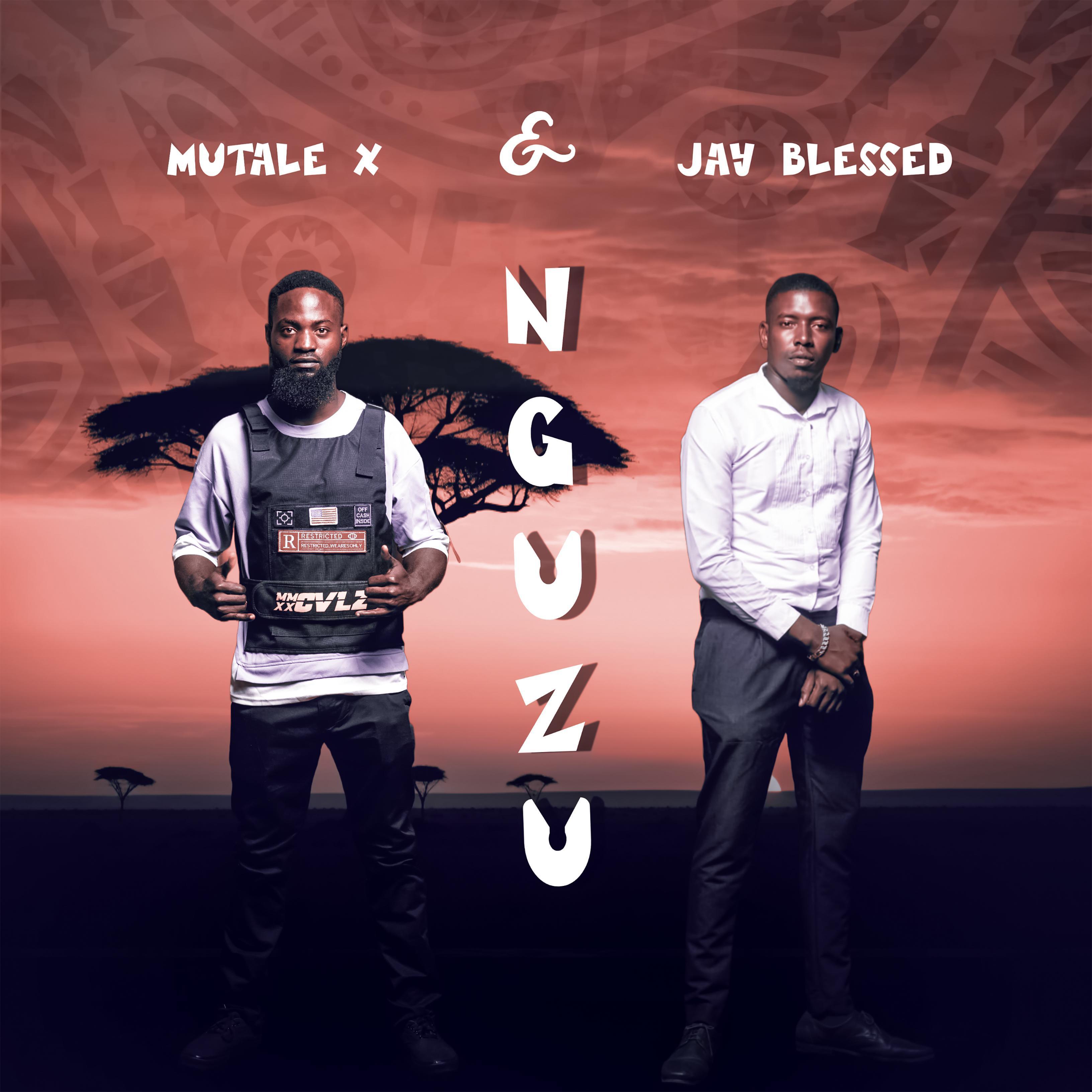 Постер альбома Nguzu (feat. Jay blessed)