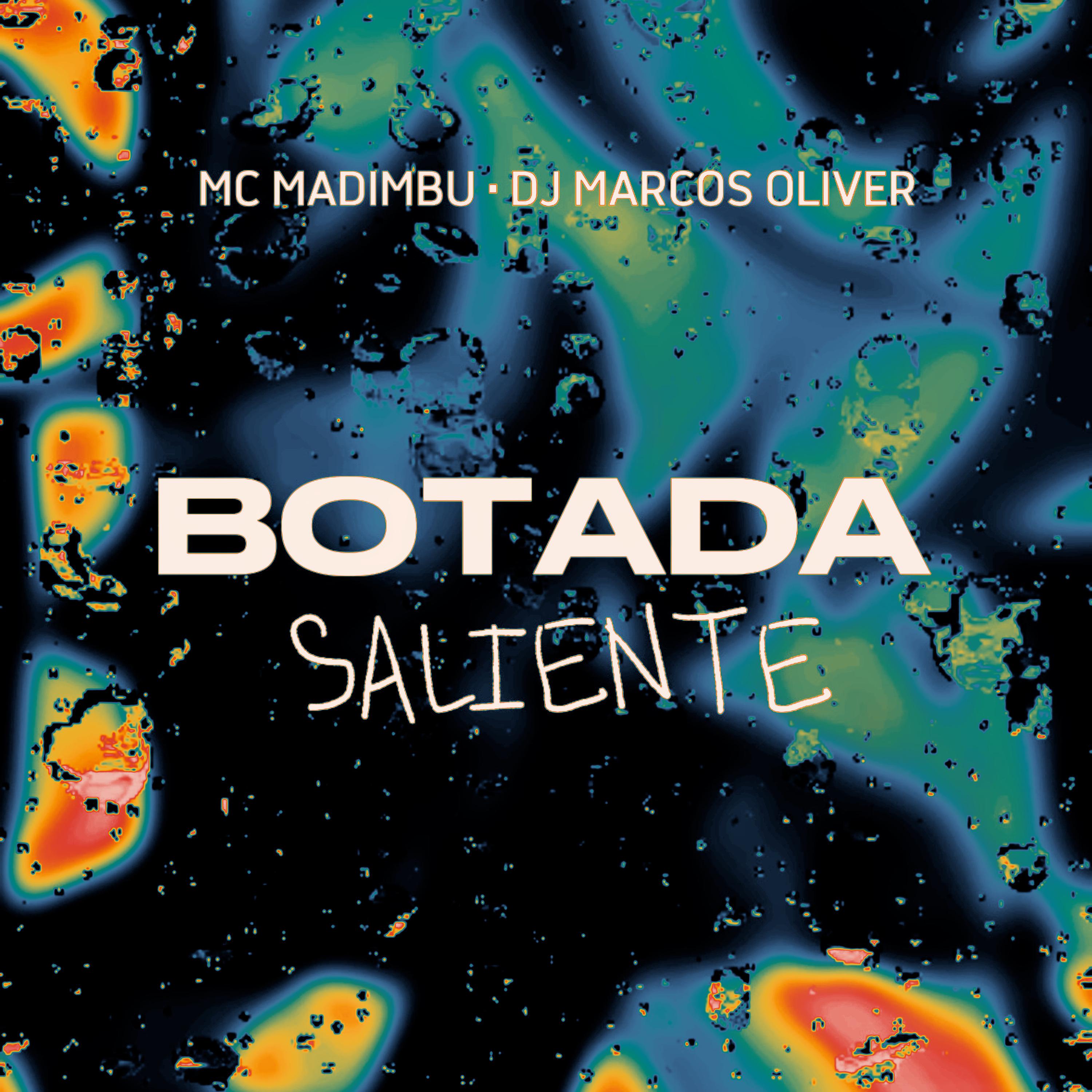 Постер альбома Botada Saliente