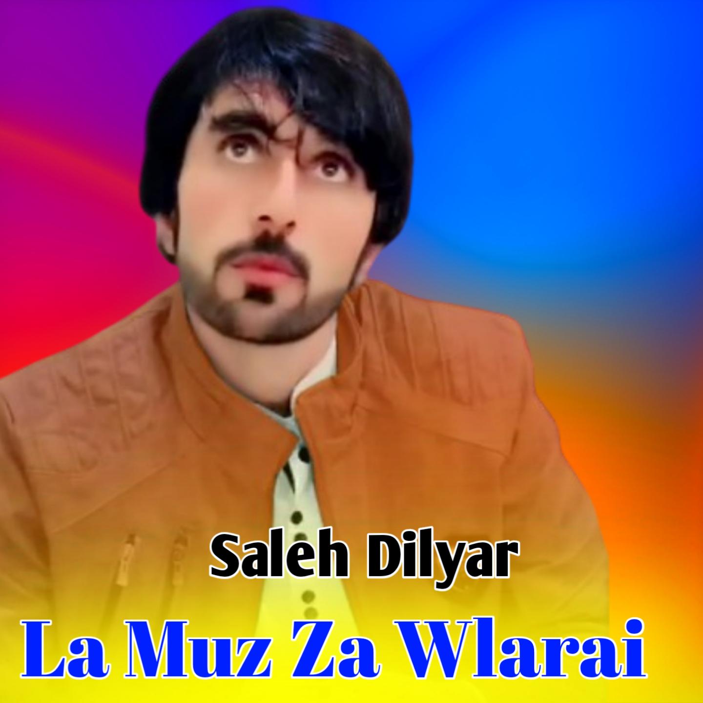 Постер альбома La Muz Za Wlarai