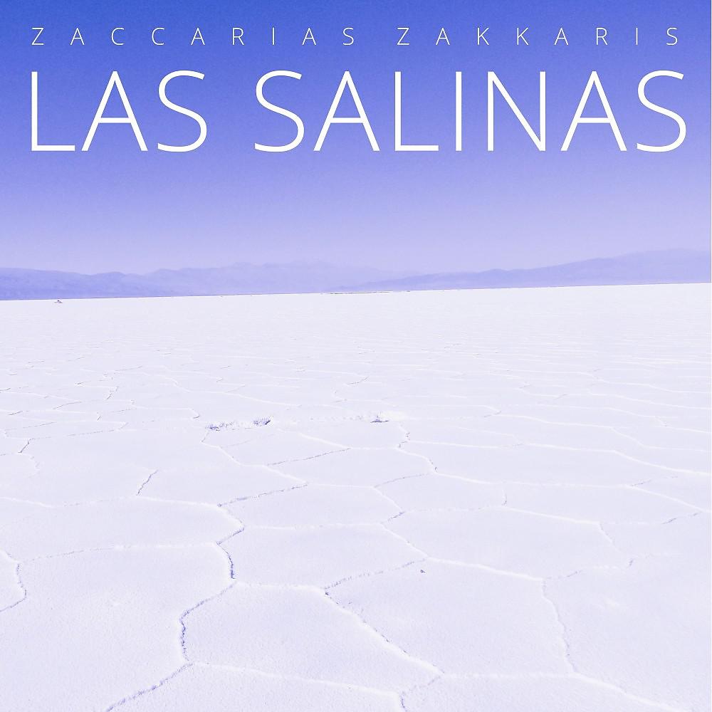Постер альбома Las Salinas