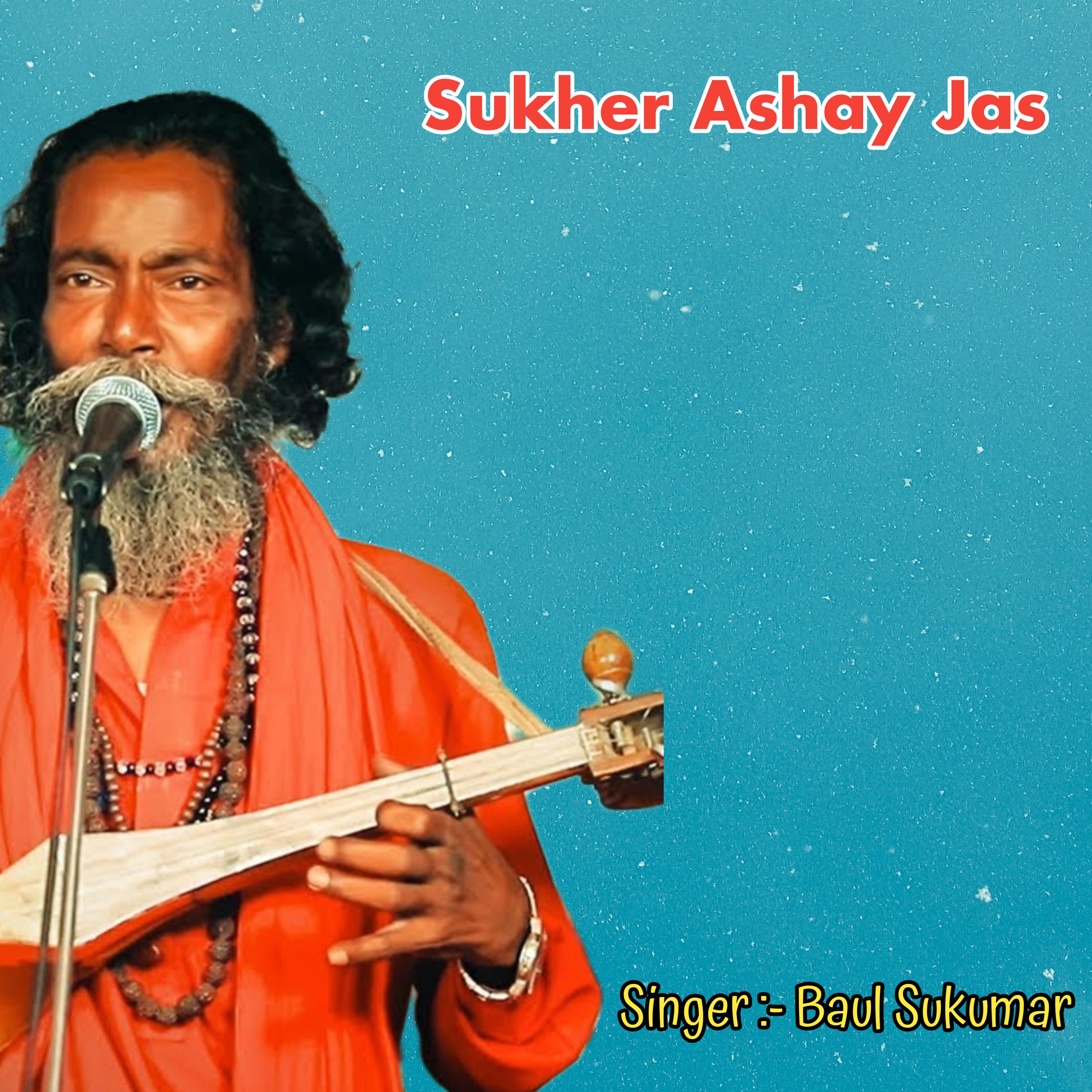 Постер альбома Sukher Ashay Jas