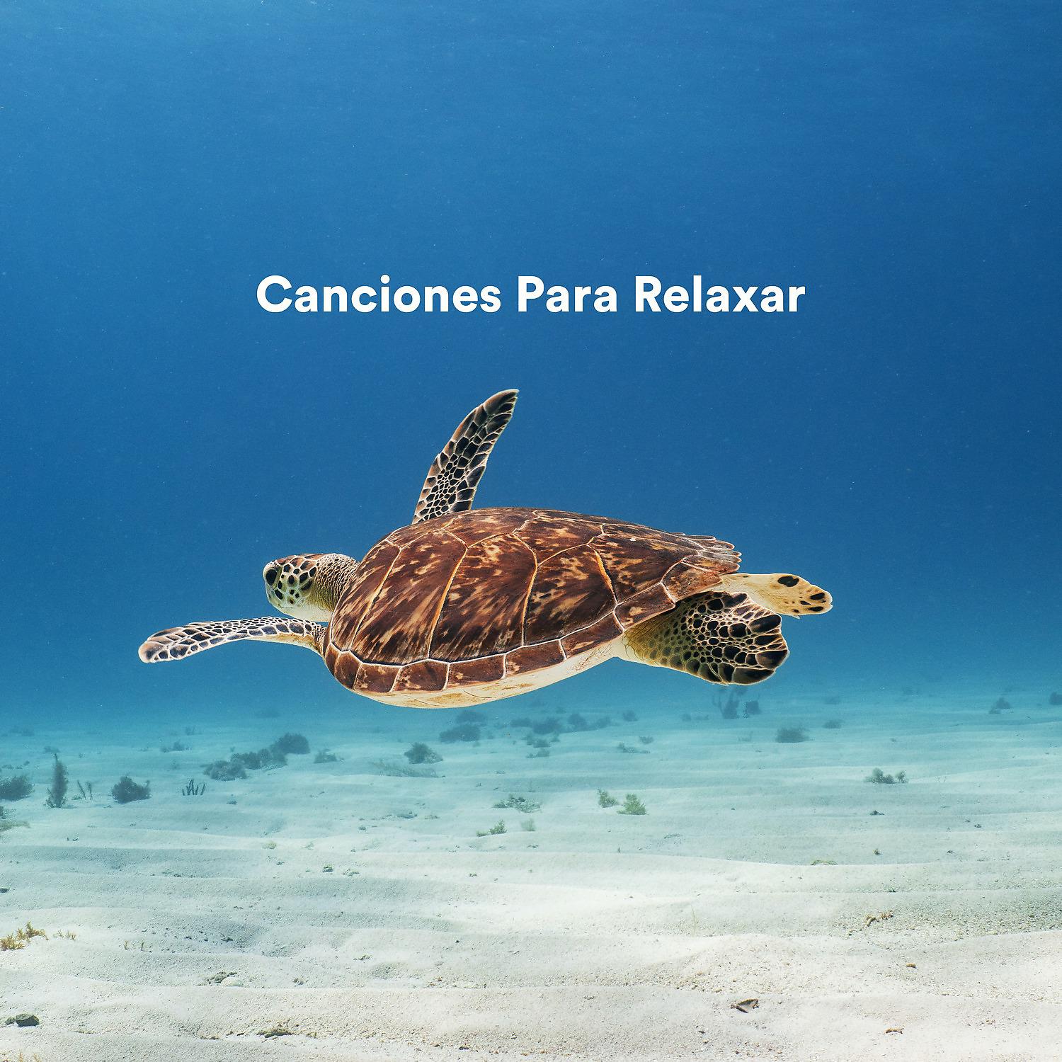 Постер альбома Canciones para Relaxar