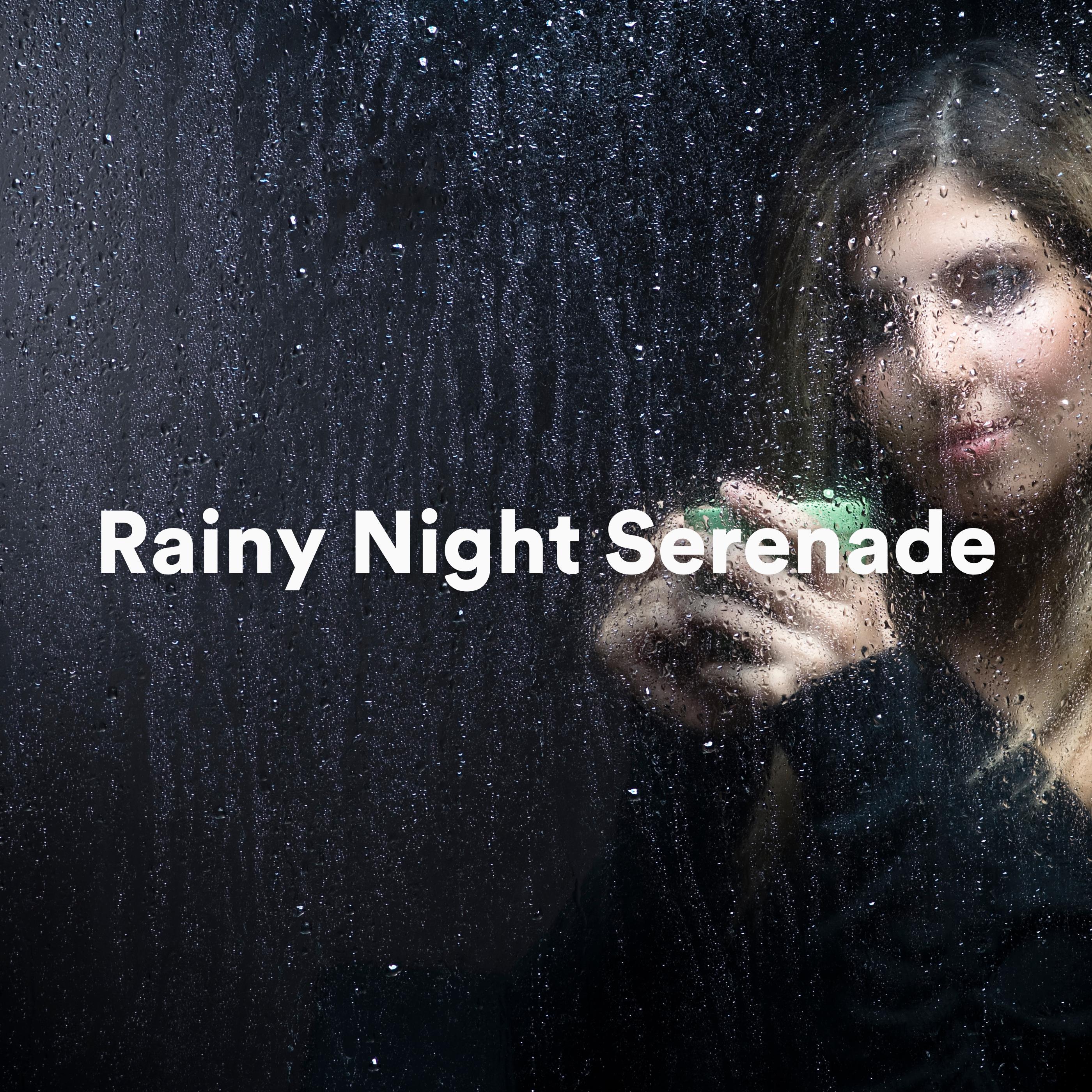 Постер альбома Rainy Night Serenade