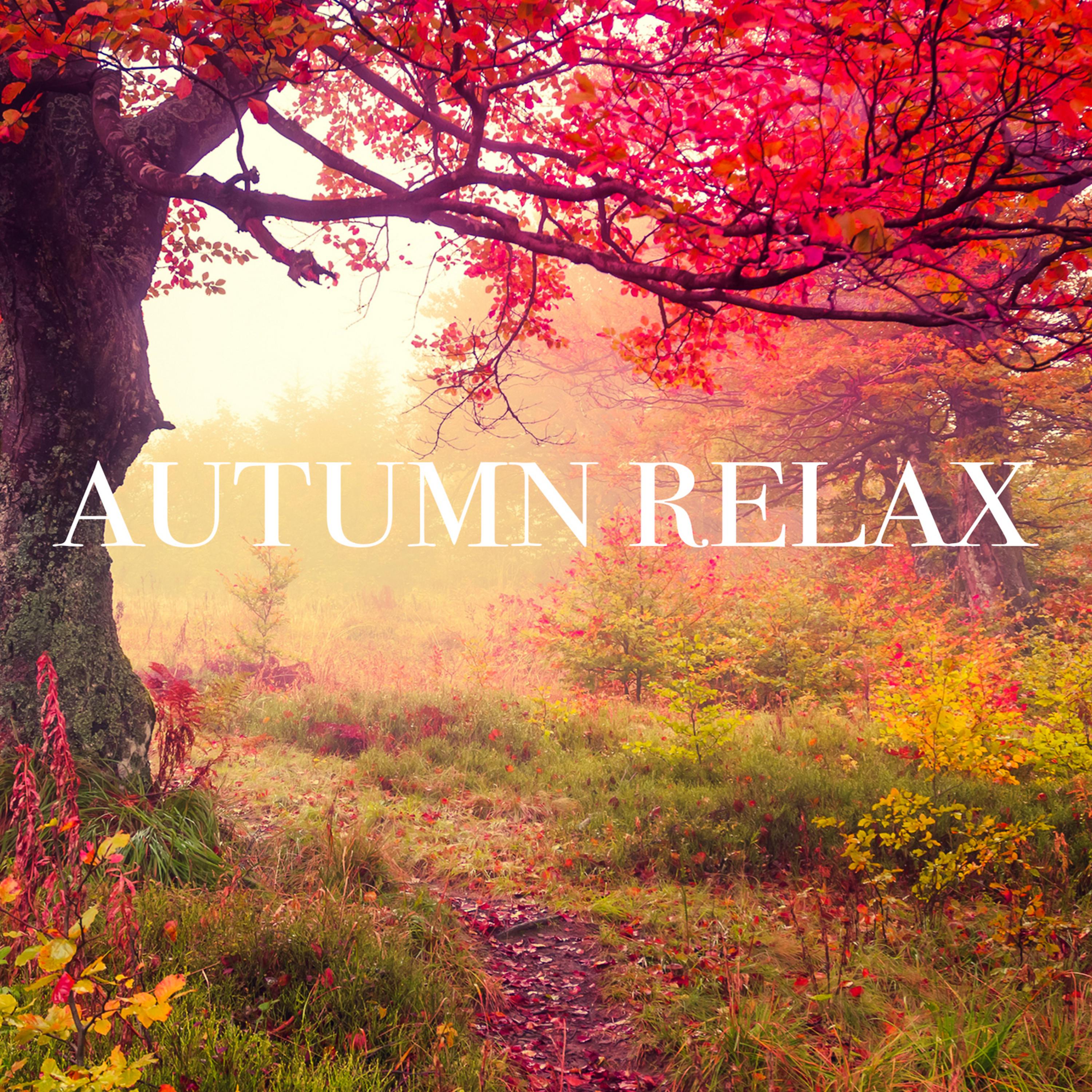 Постер альбома Autumn Relax