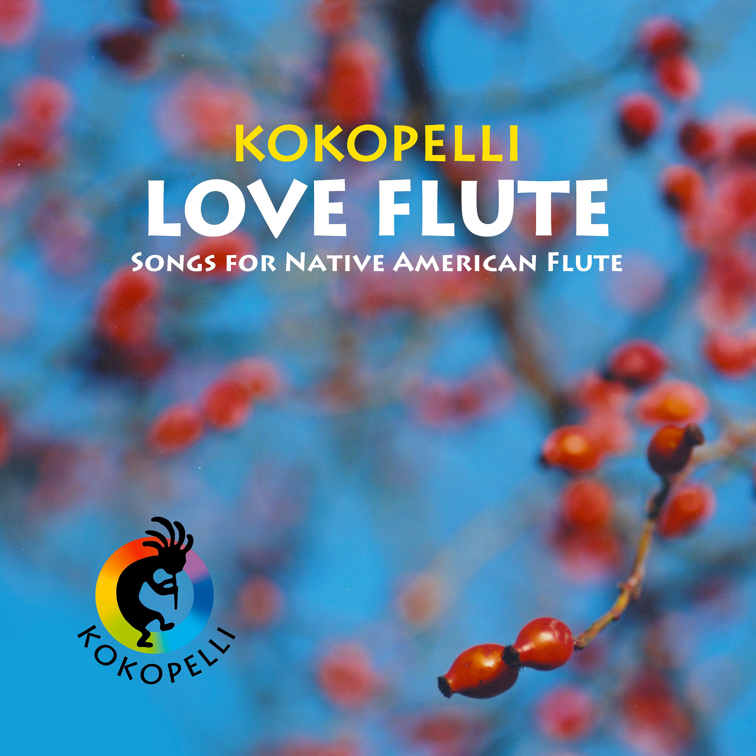 Постер альбома Love Flute - Songs for Native American Flutes