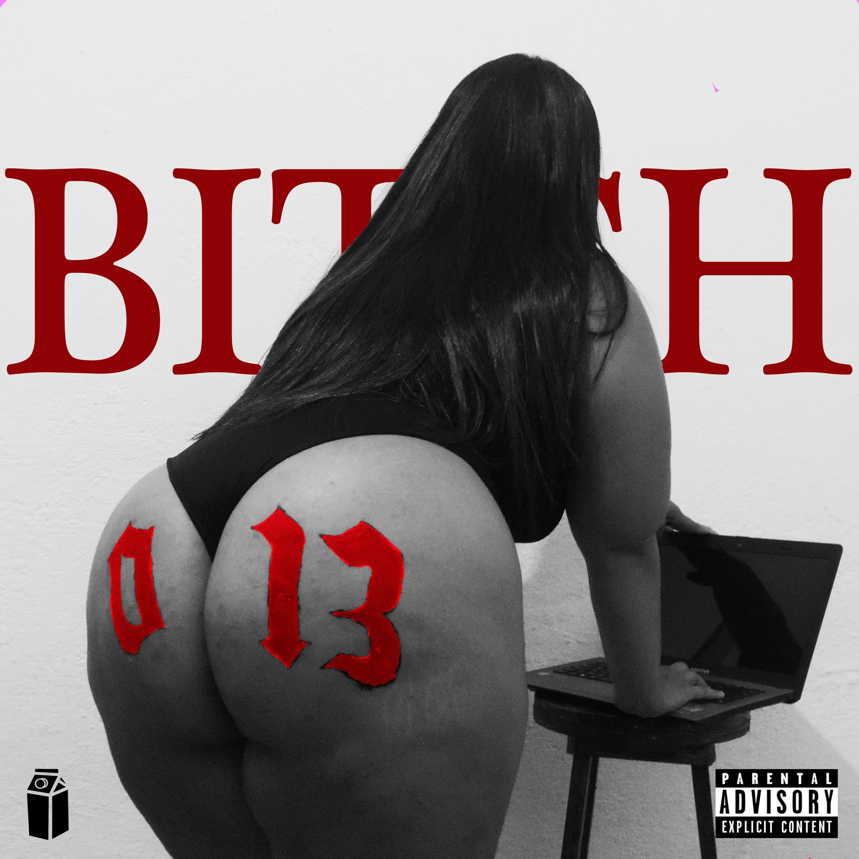 Постер альбома Bitch 013