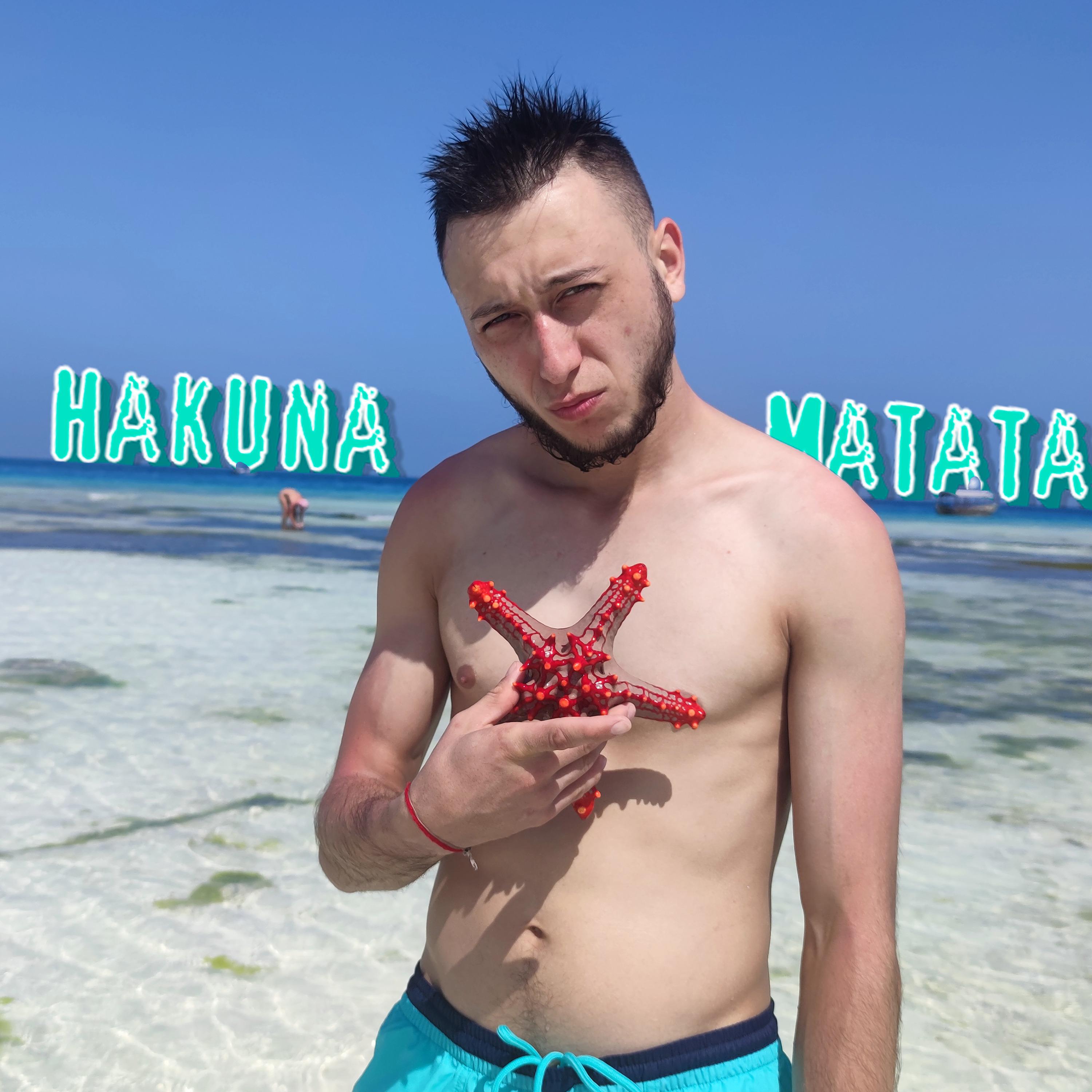 Постер альбома Hakuna Matata