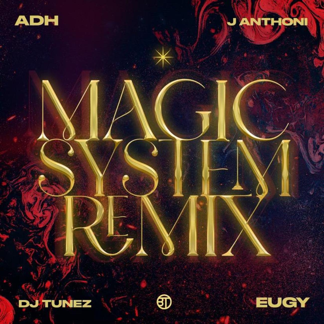 Постер альбома Magic System (DJ Tunez Remix)