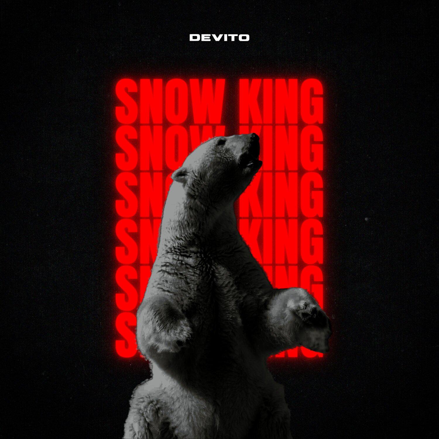 Постер альбома Snow King