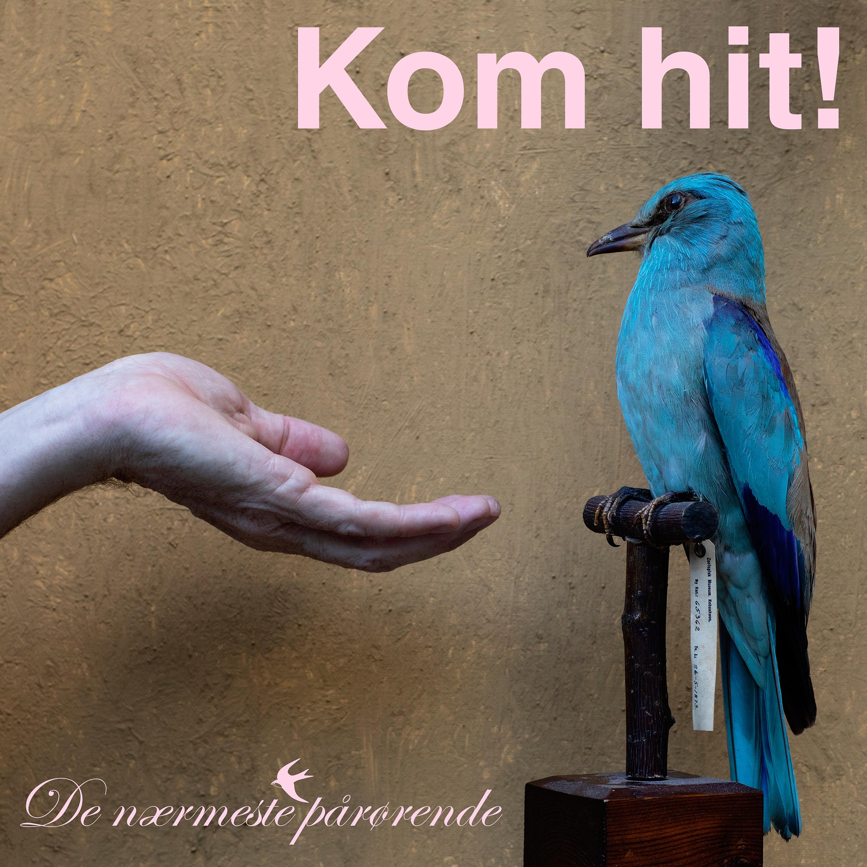 Постер альбома Kom Hit